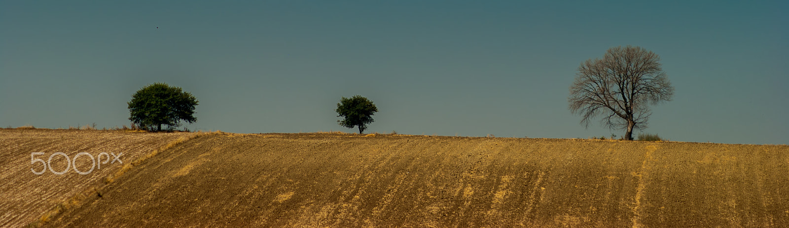 Nikon D60 + Sigma 50-150mm F2.8 EX APO DC HSM II + 1.4x sample photo. Tekirdag turkey photography