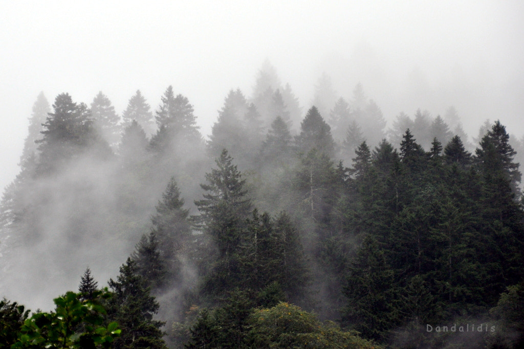 Sigma 18-250mm F3.5-6.3 DC OS HSM sample photo. Mountain silence photography