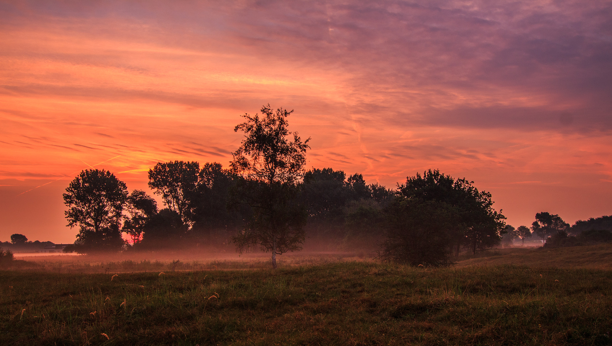 Tokina AT-X Pro 12-24mm F4 (IF) DX sample photo. Bakkum noord ochtend photography