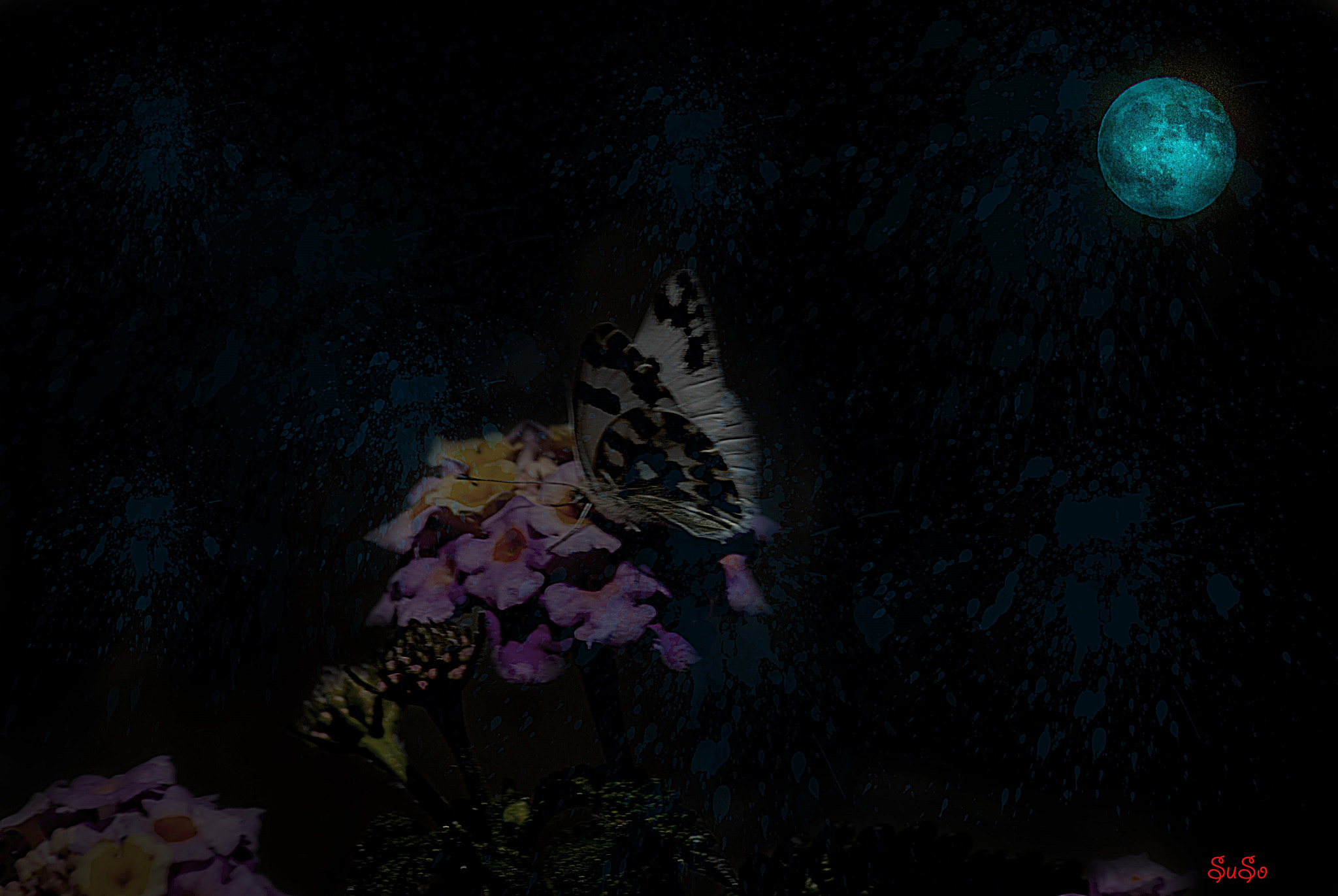 Nikon D3000 sample photo. Mariposaaa photography