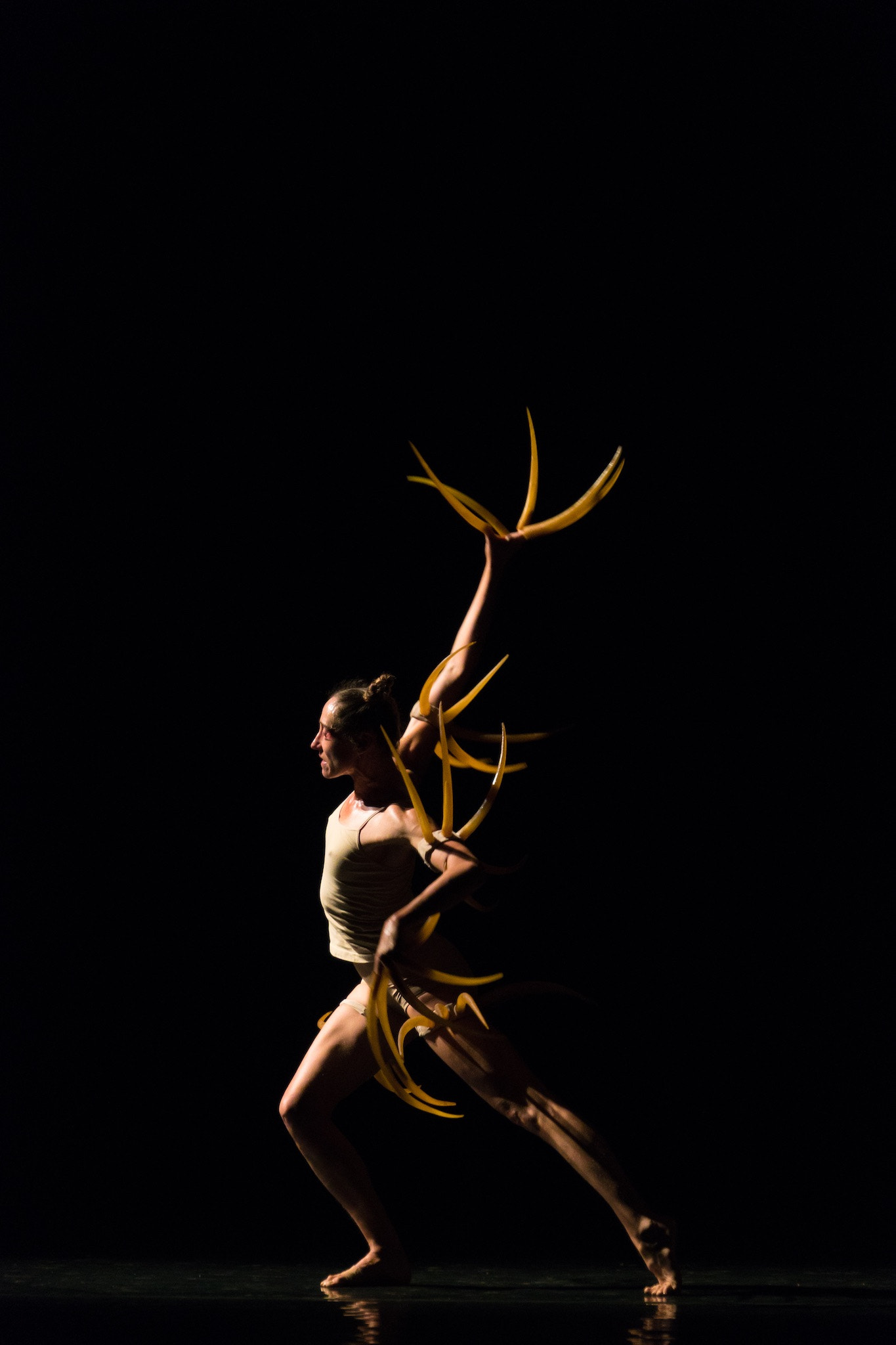 Sony a6300 + Sony E 18-200mm F3.5-6.3 OSS sample photo. Canada marie chouinard modern dance troupe rite of spring,chopin 24 preludes live in xi'an. photography