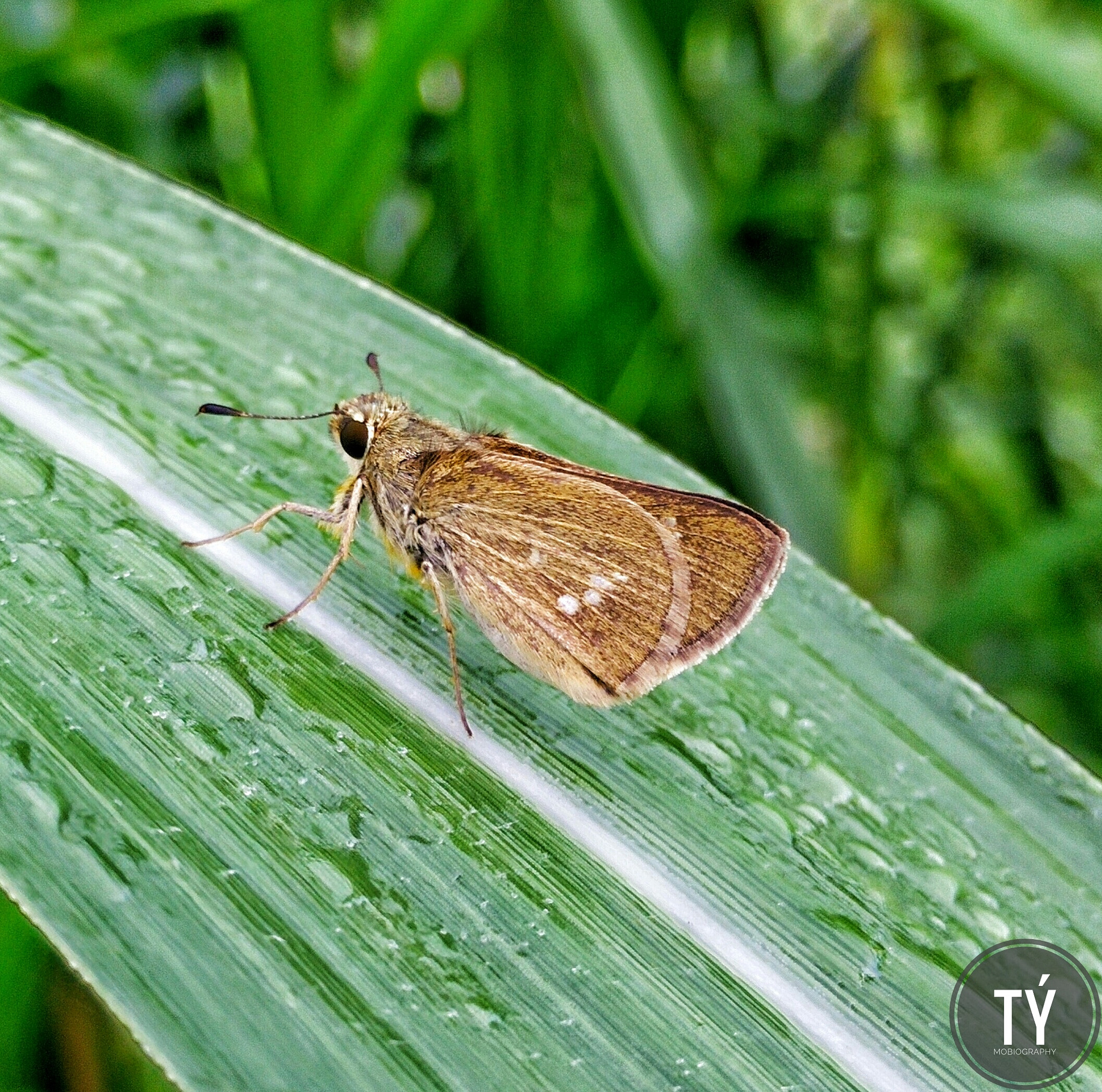 OPPO Find7 sample photo. No caption !!! photography