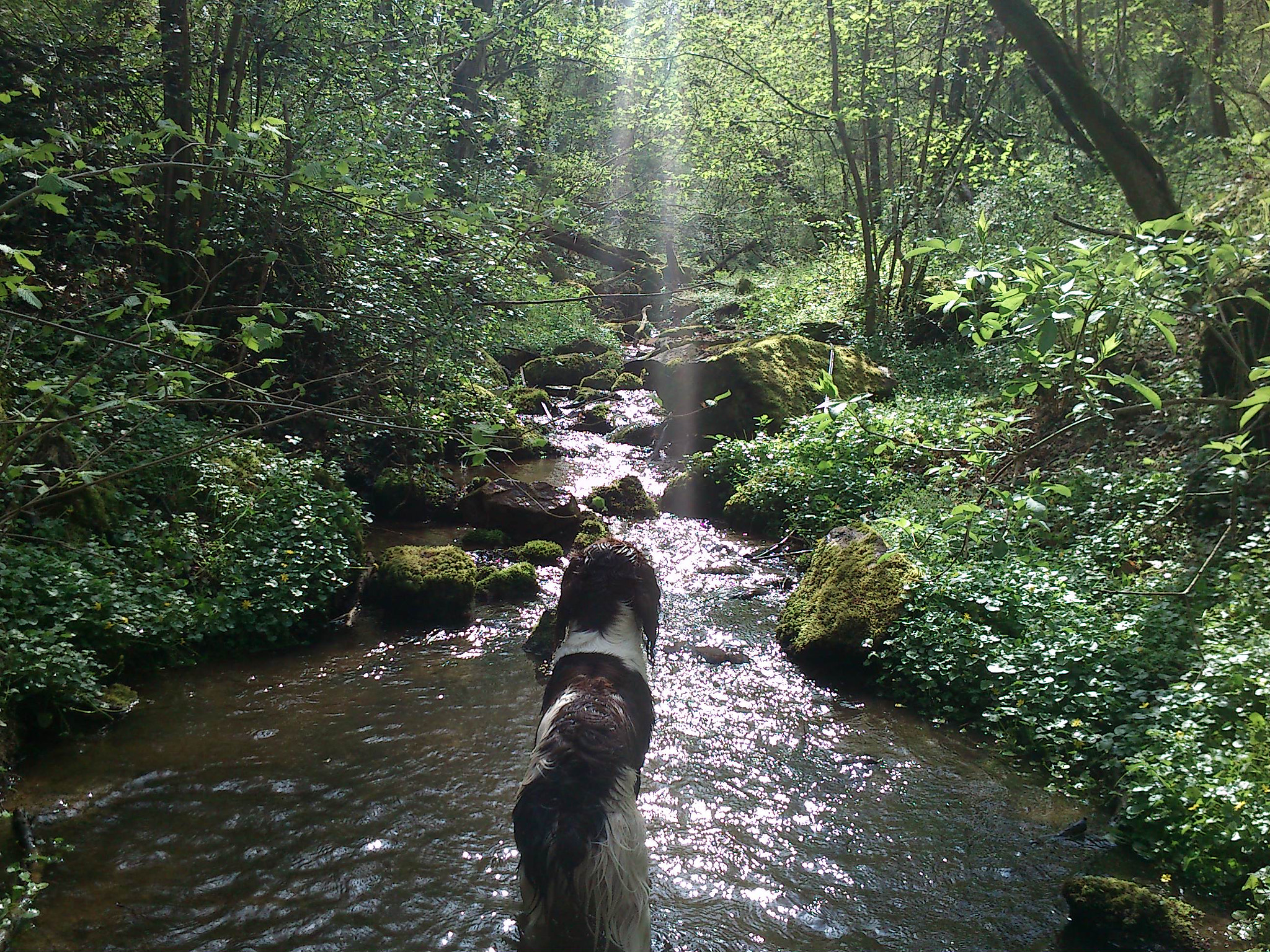 Sony Ericsson Live with Walkman sample photo. Here we go photography