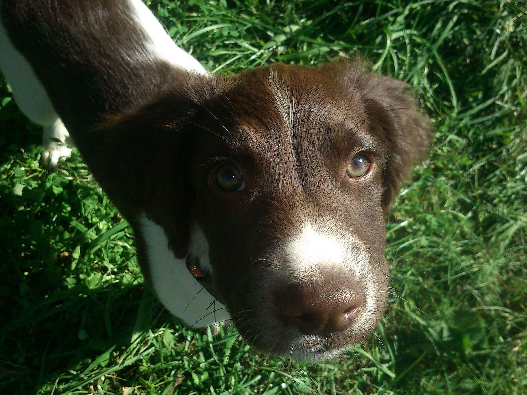 Sony Ericsson Live with Walkman sample photo. Baby selfie photography