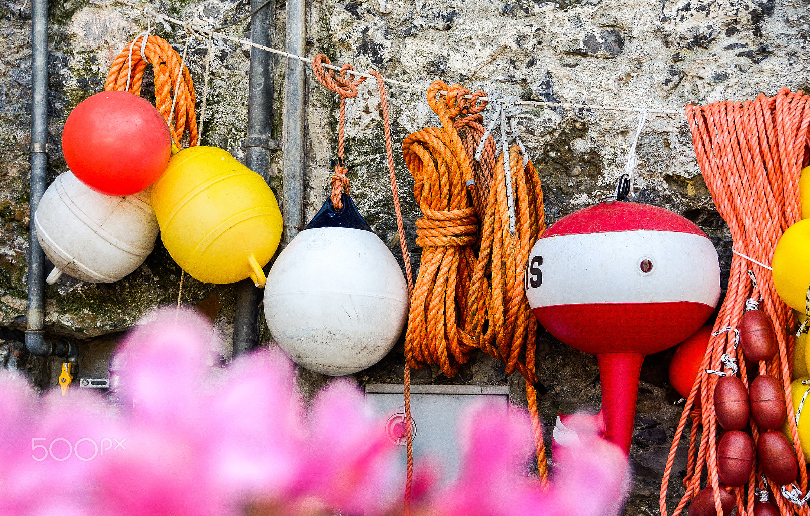 Nikon PC-E Nikkor 24mm F3.5D ED Tilt-Shift sample photo. Symphony of colors photography