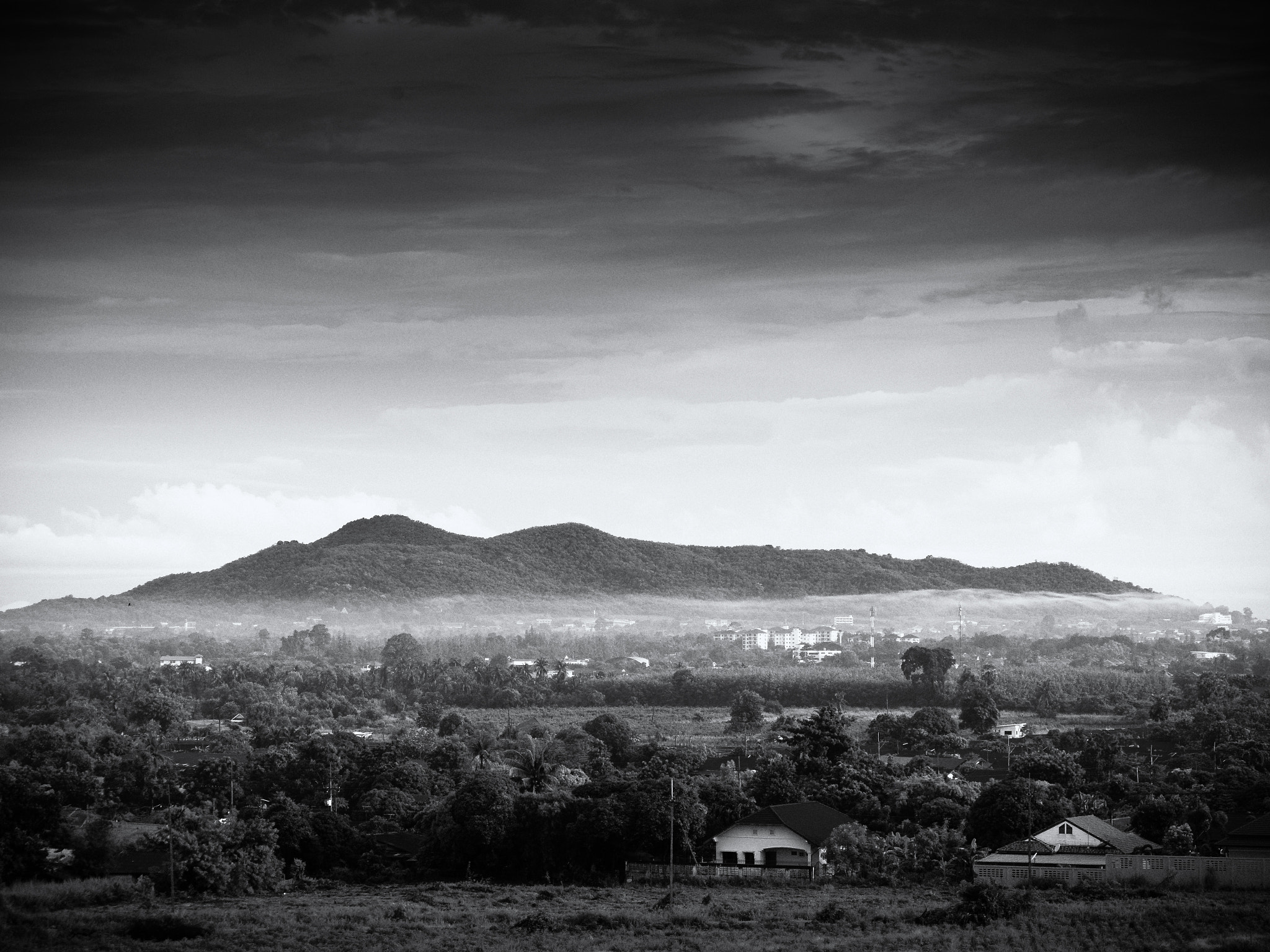 Panasonic Lumix DMC-GX8 sample photo. Misty morning 01 photography