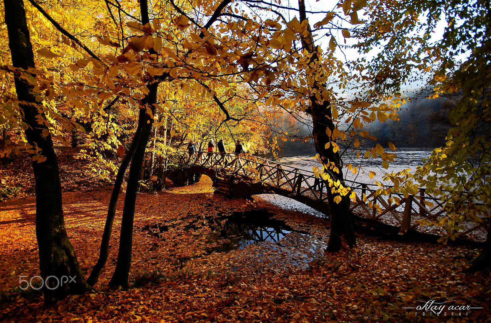 Sigma 10-20mm F4-5.6 EX DC HSM sample photo. Yedigöller & bolu photography