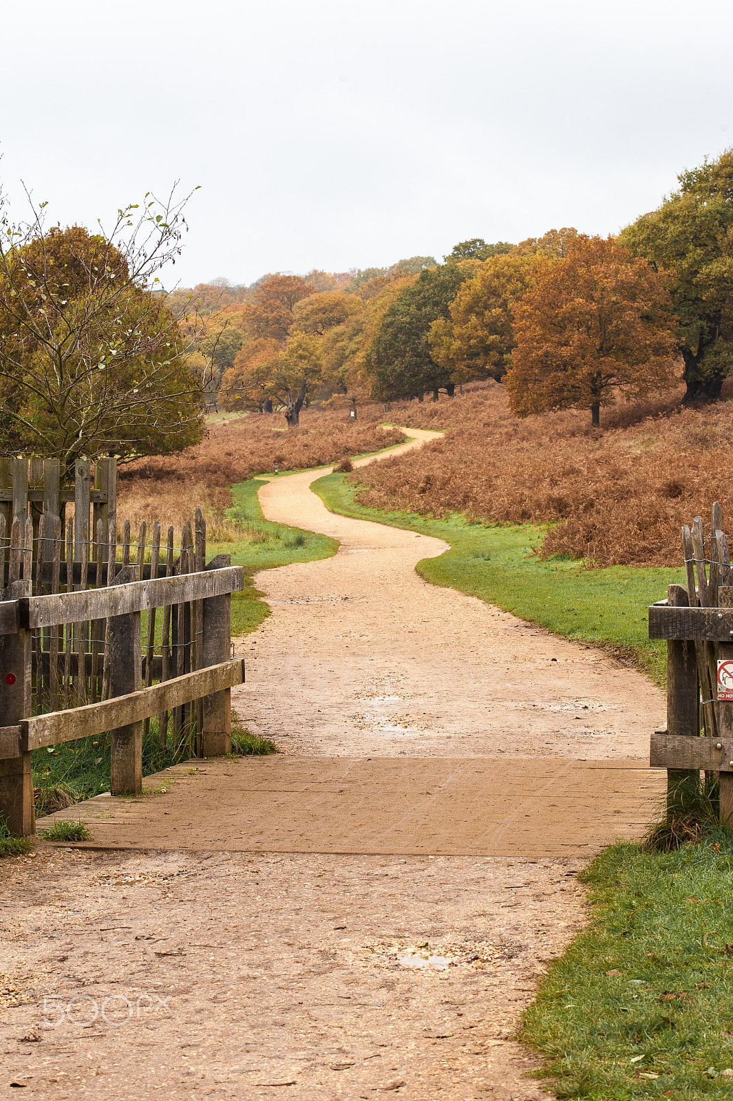 Nikon AF-S Nikkor 70-200mm F4G ED VR sample photo. Richmond park path photography