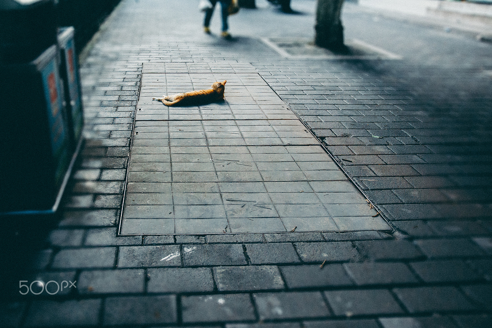Pentax K-5 IIs sample photo. Street 678# photography