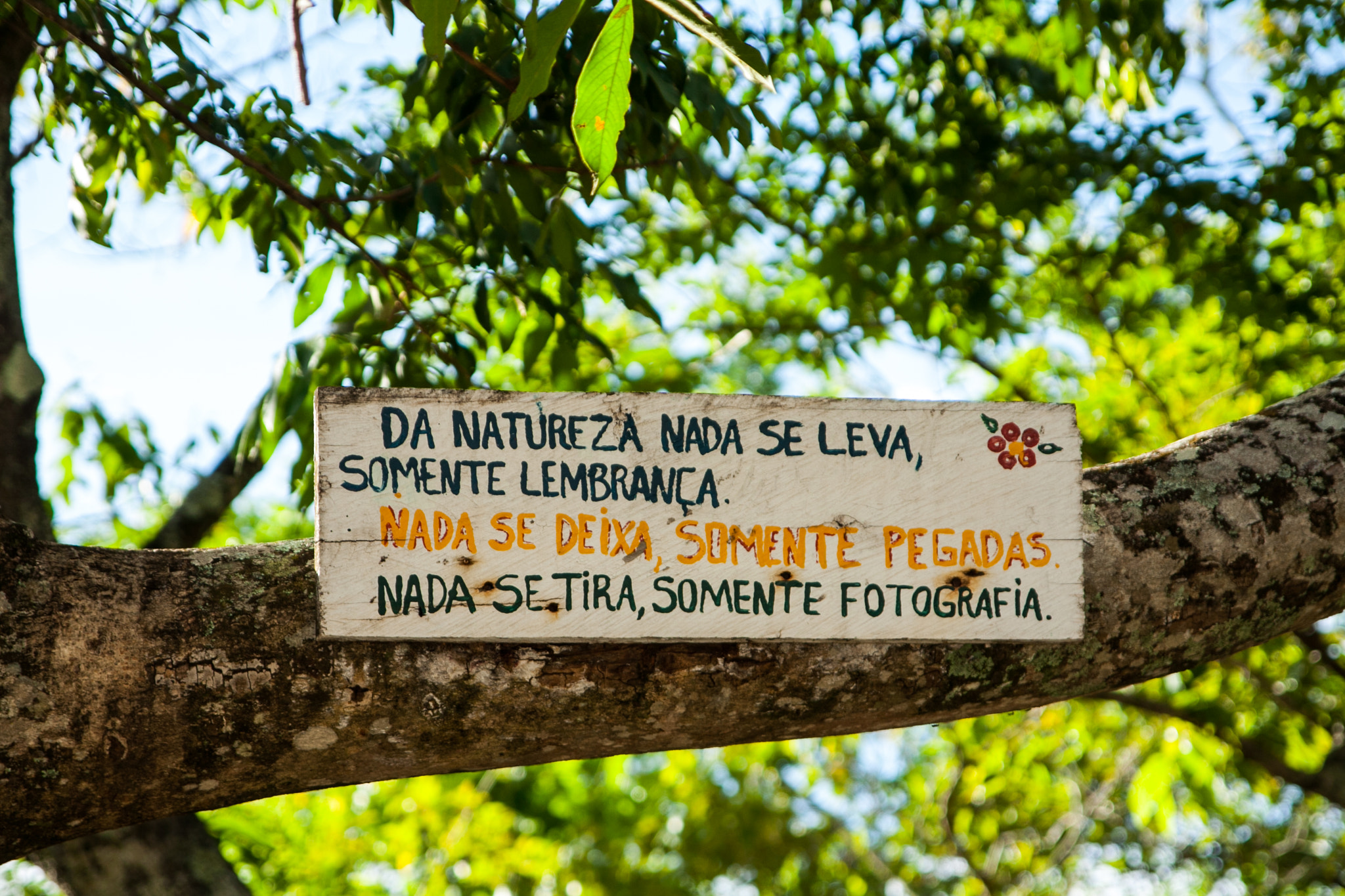 Canon EOS 50D sample photo. Da natureza... photography