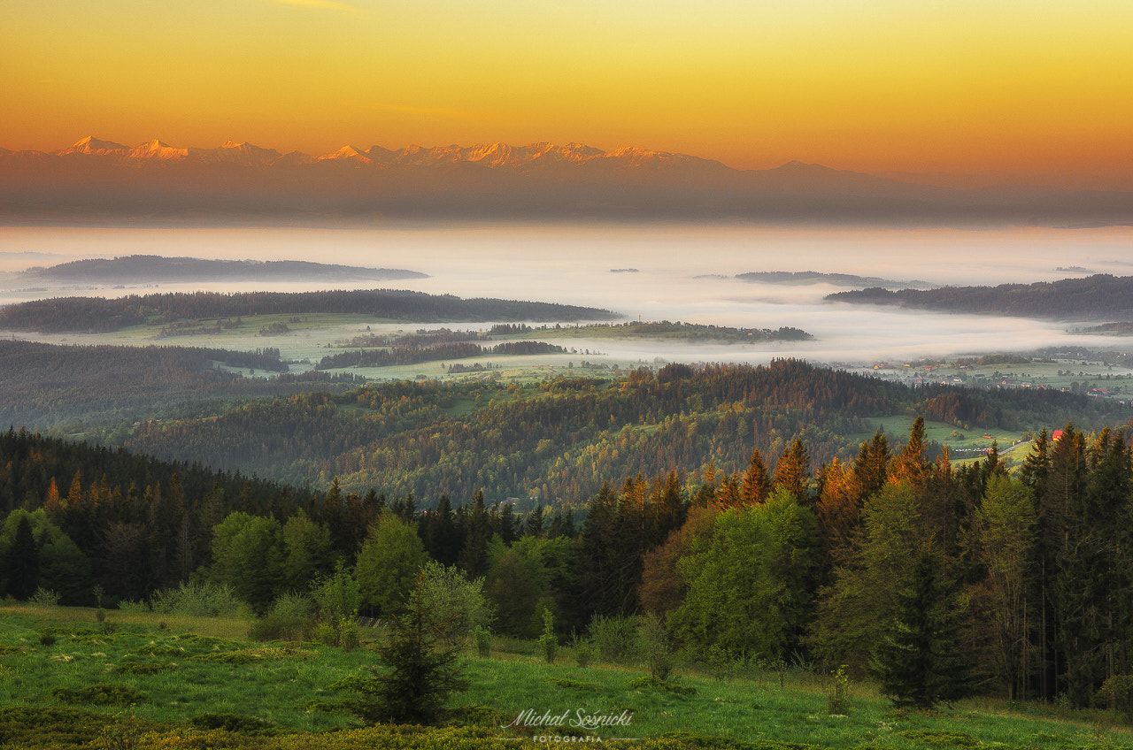 Sigma 17-50mm F2.8 EX DC HSM sample photo. Hala krupowa... photography