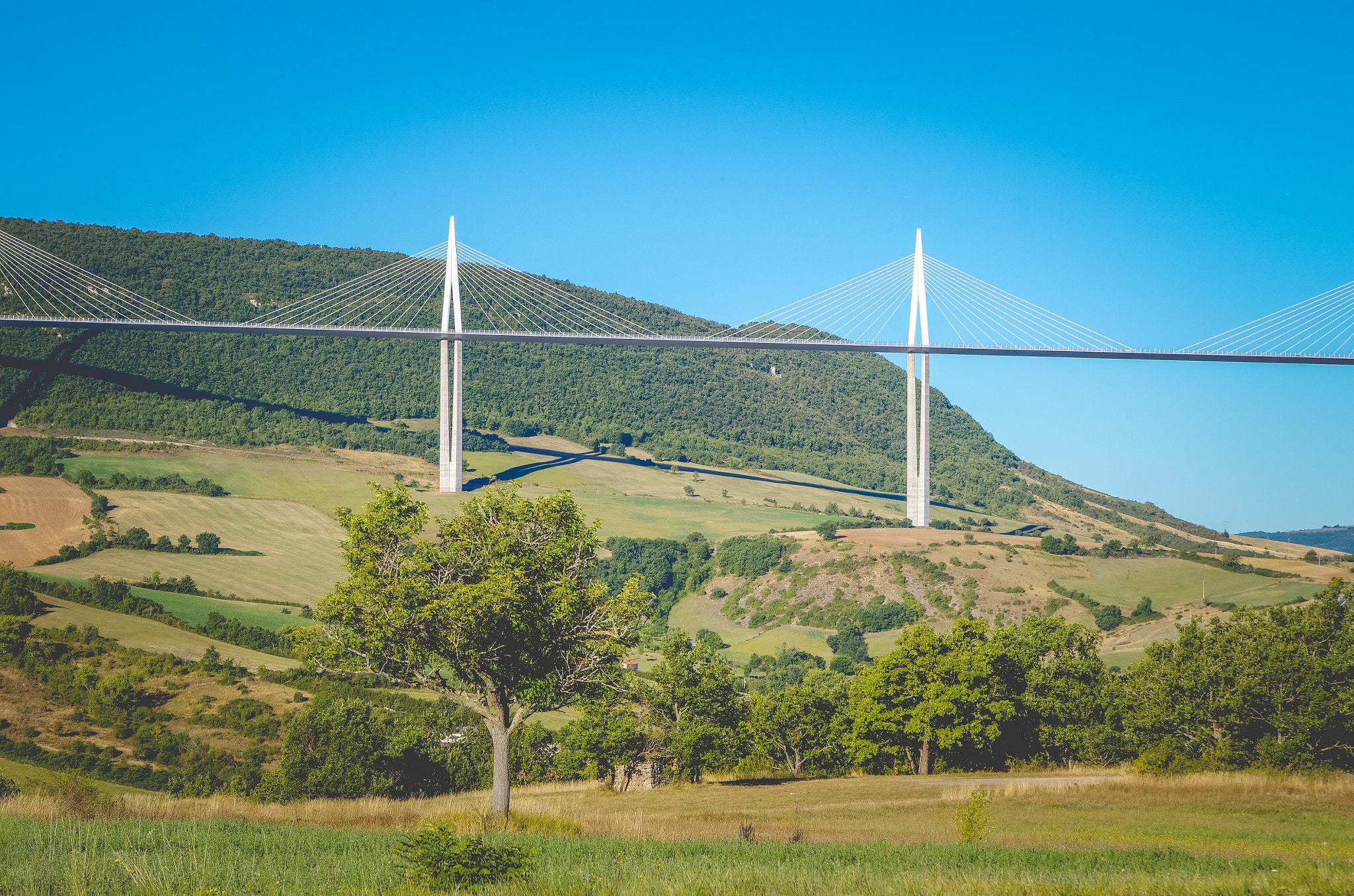 Tamron AF 28-75mm F2.8 XR Di LD Aspherical (IF) sample photo. Millau photography