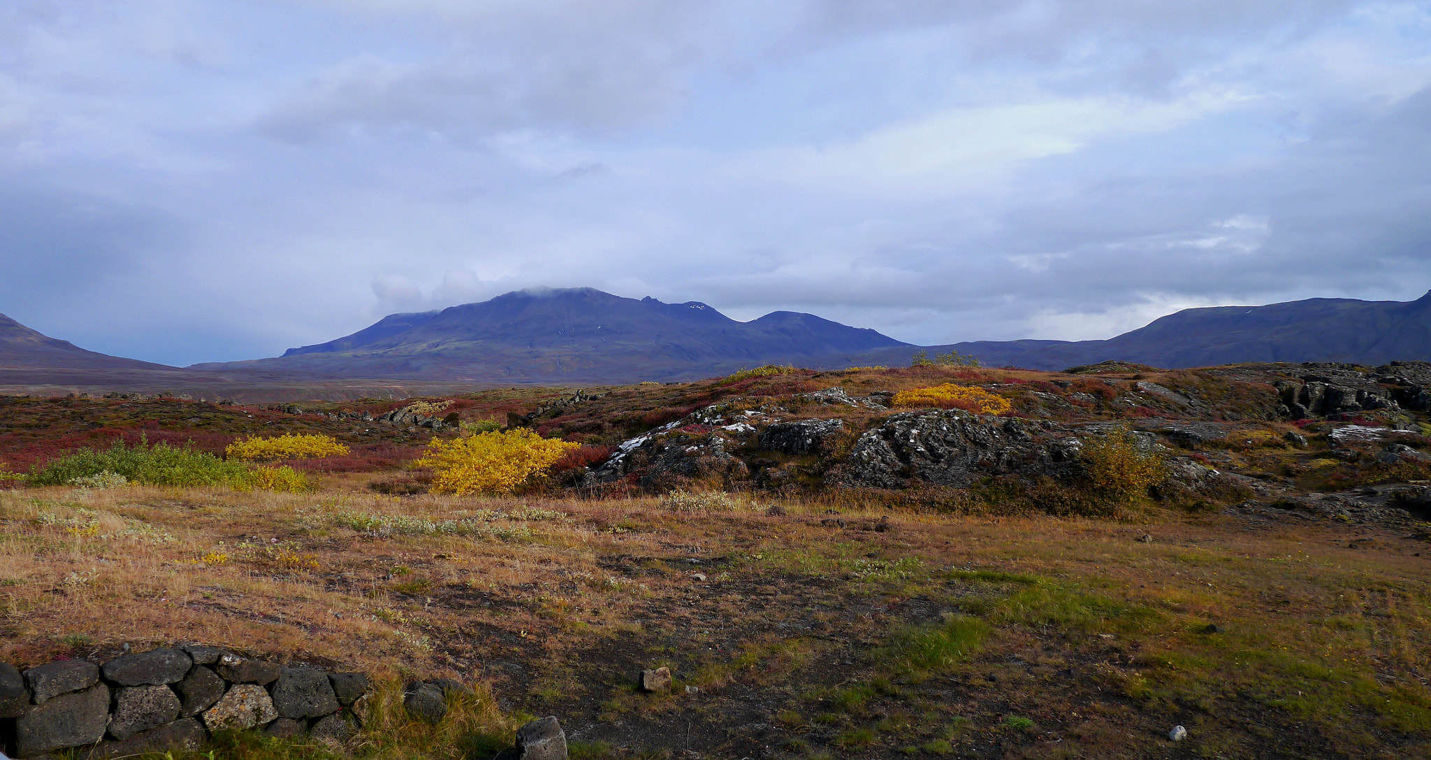 Panasonic Lumix DMC-GX1 sample photo. Iceland lichen glory photography