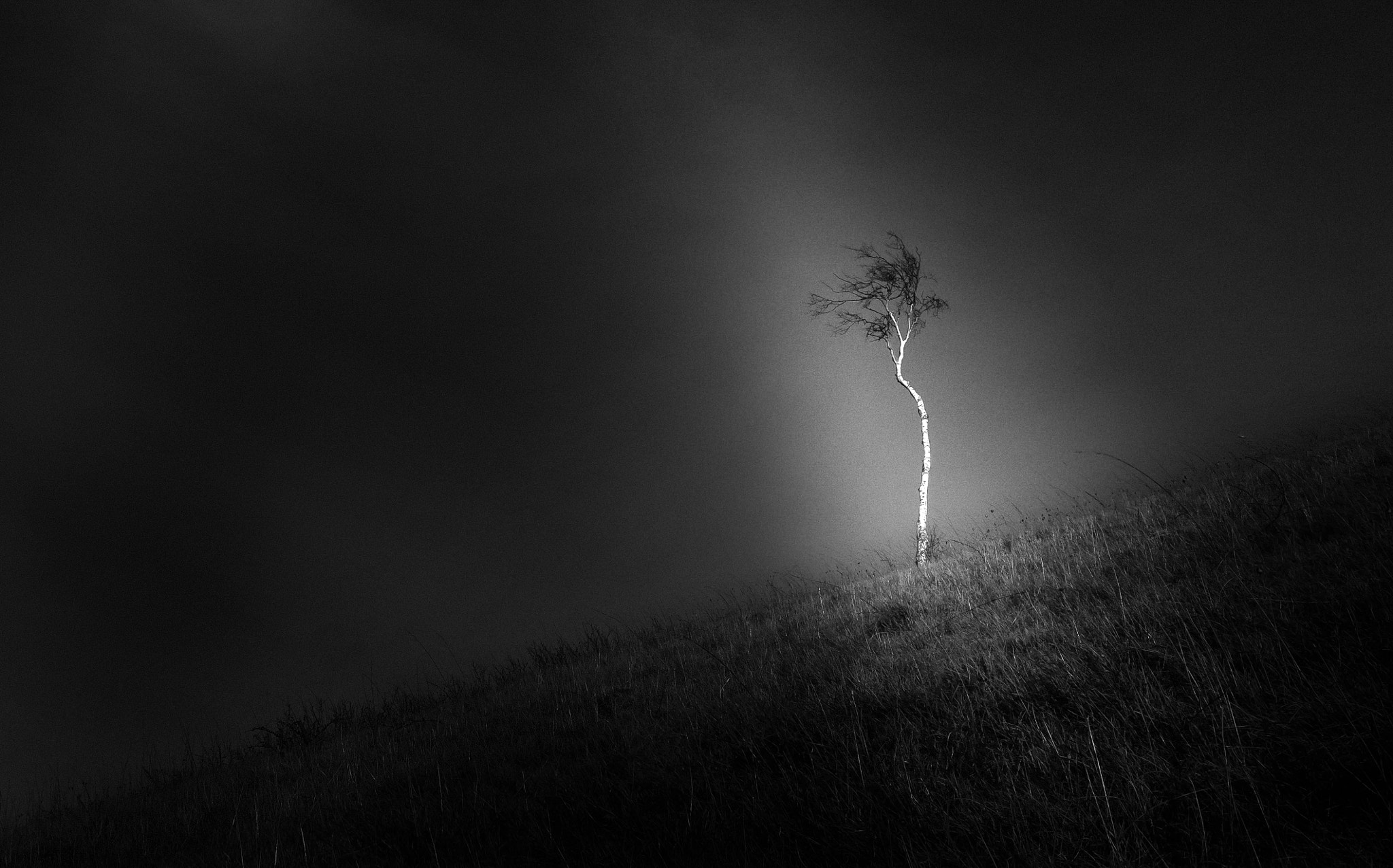 Panasonic Lumix DMC-GF6 sample photo. Lonesome tree photography