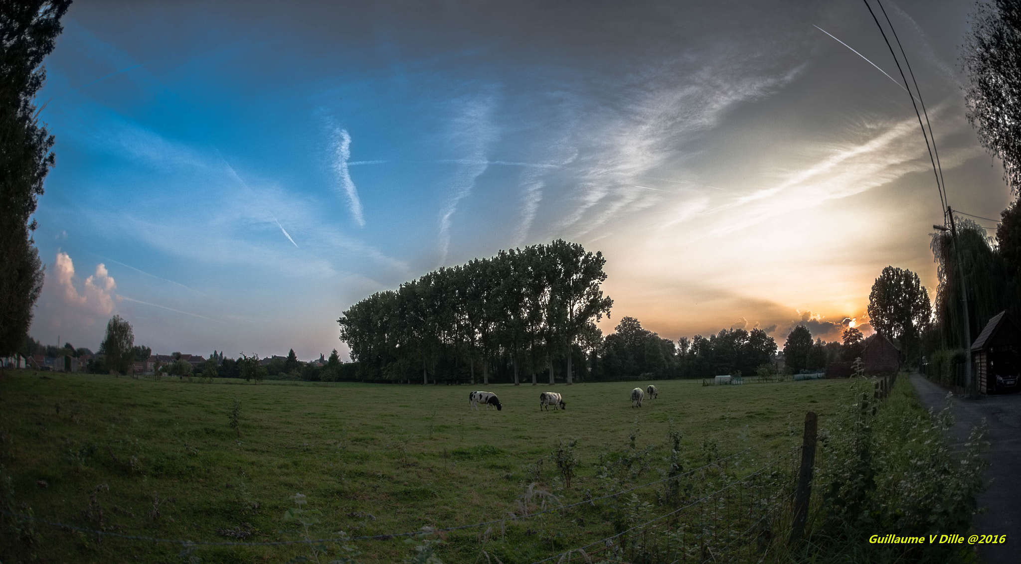 Nikon D700 + Sigma 15mm F2.8 EX DG Diagonal Fisheye sample photo. Dsc campagne photography