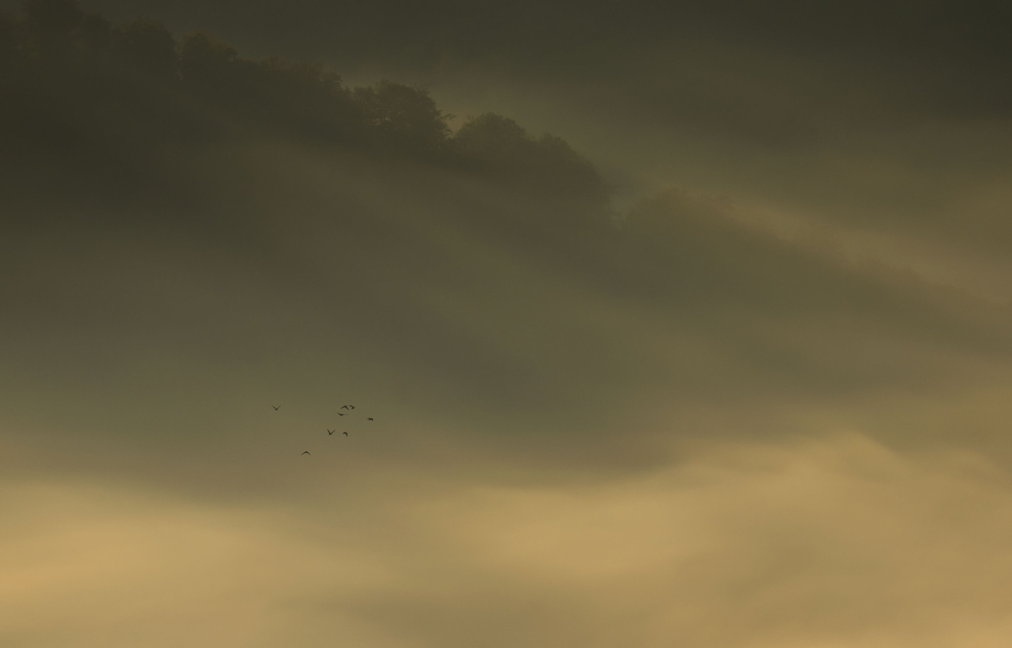 Nikon D600 sample photo. Passengers photography