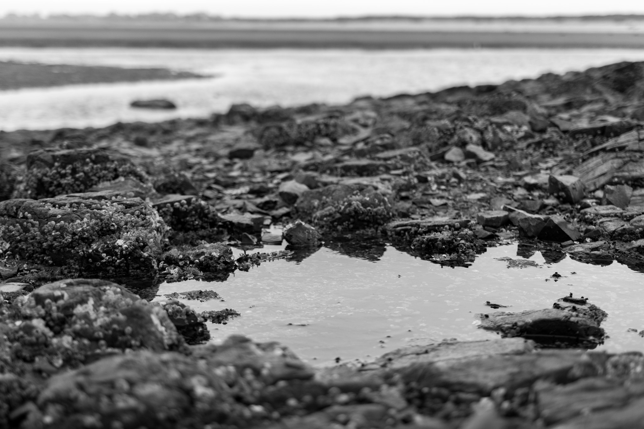Sigma 18-35mm f/1.8 DC HSM sample photo. Tide pools and freezing winds photography