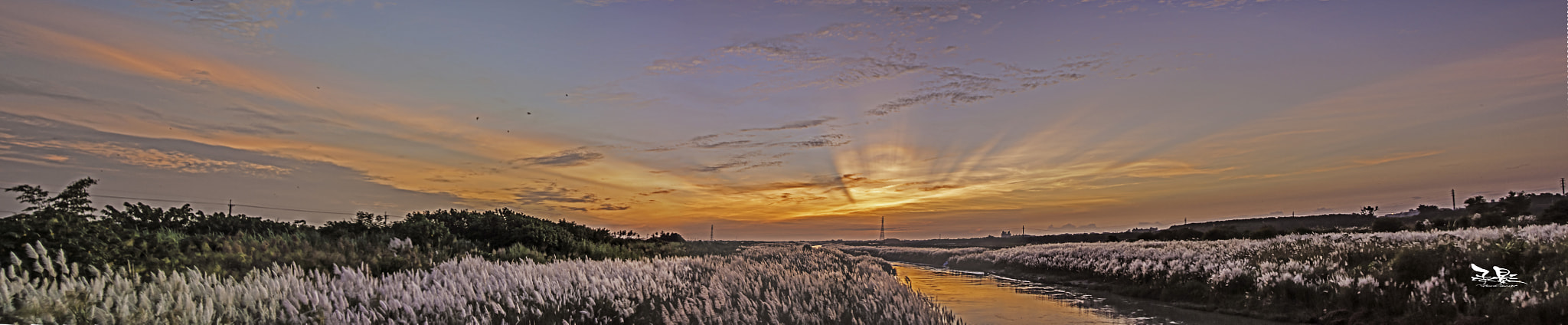 Nikon AF Nikkor 24-85mm F2.8-4D IF sample photo. 0918南靖鐵橋秋芒 photography