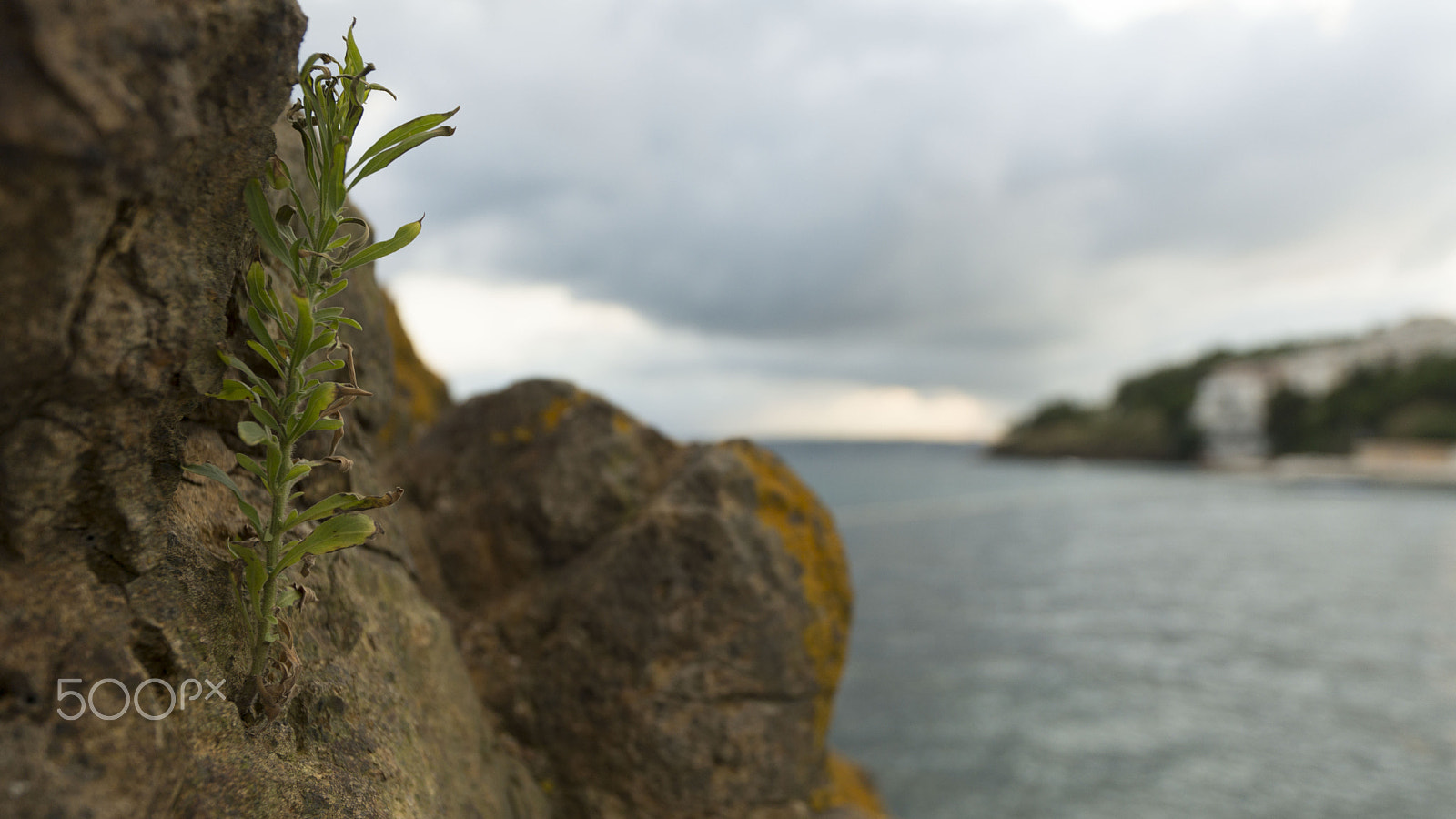 Sony a99 II + Sony Vario-Sonnar T* 16-35mm F2.8 ZA SSM sample photo. Dsc photography