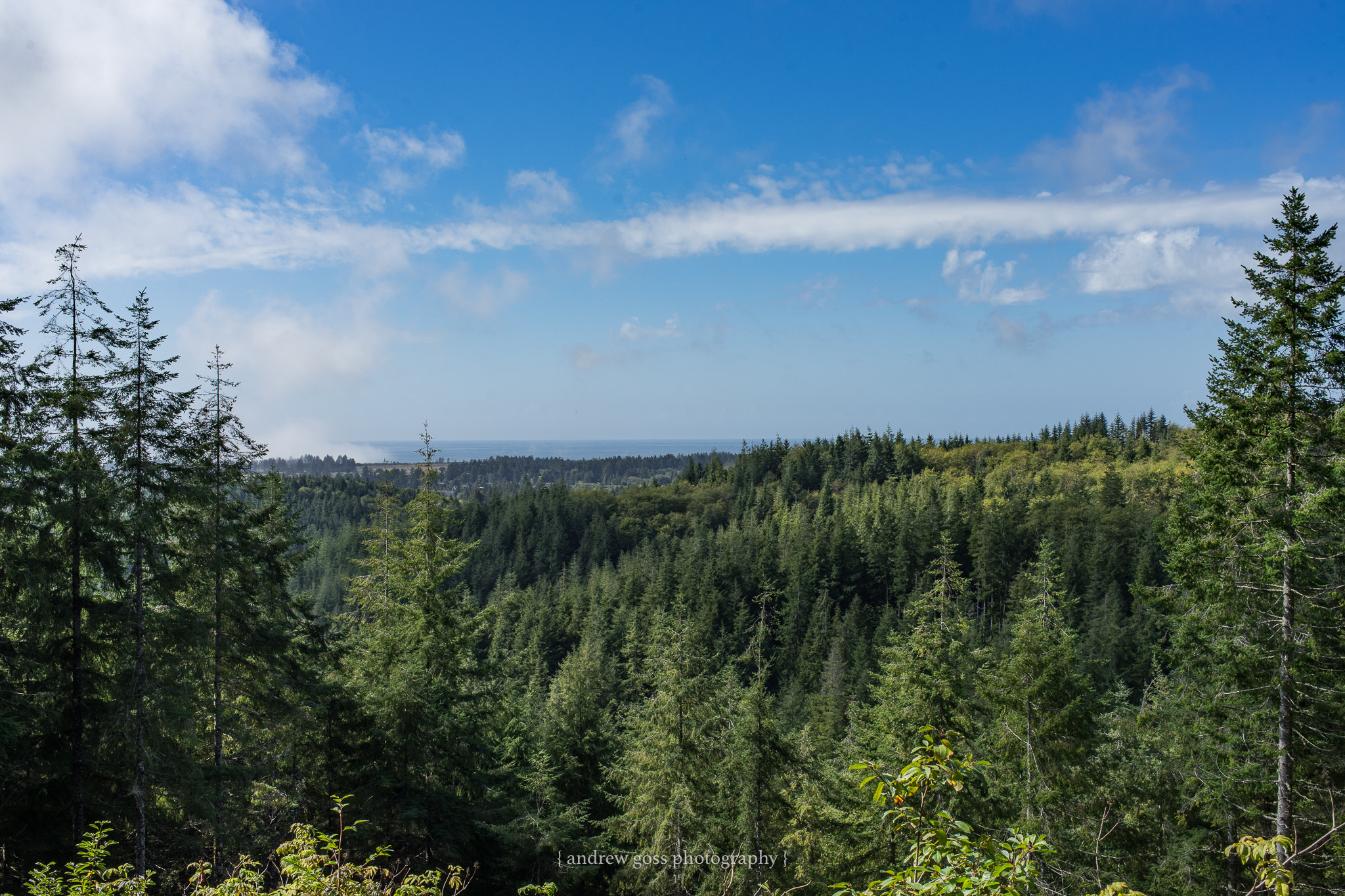 Sony a7 II + Canon EF 40mm F2.8 STM sample photo. Green to blue photography