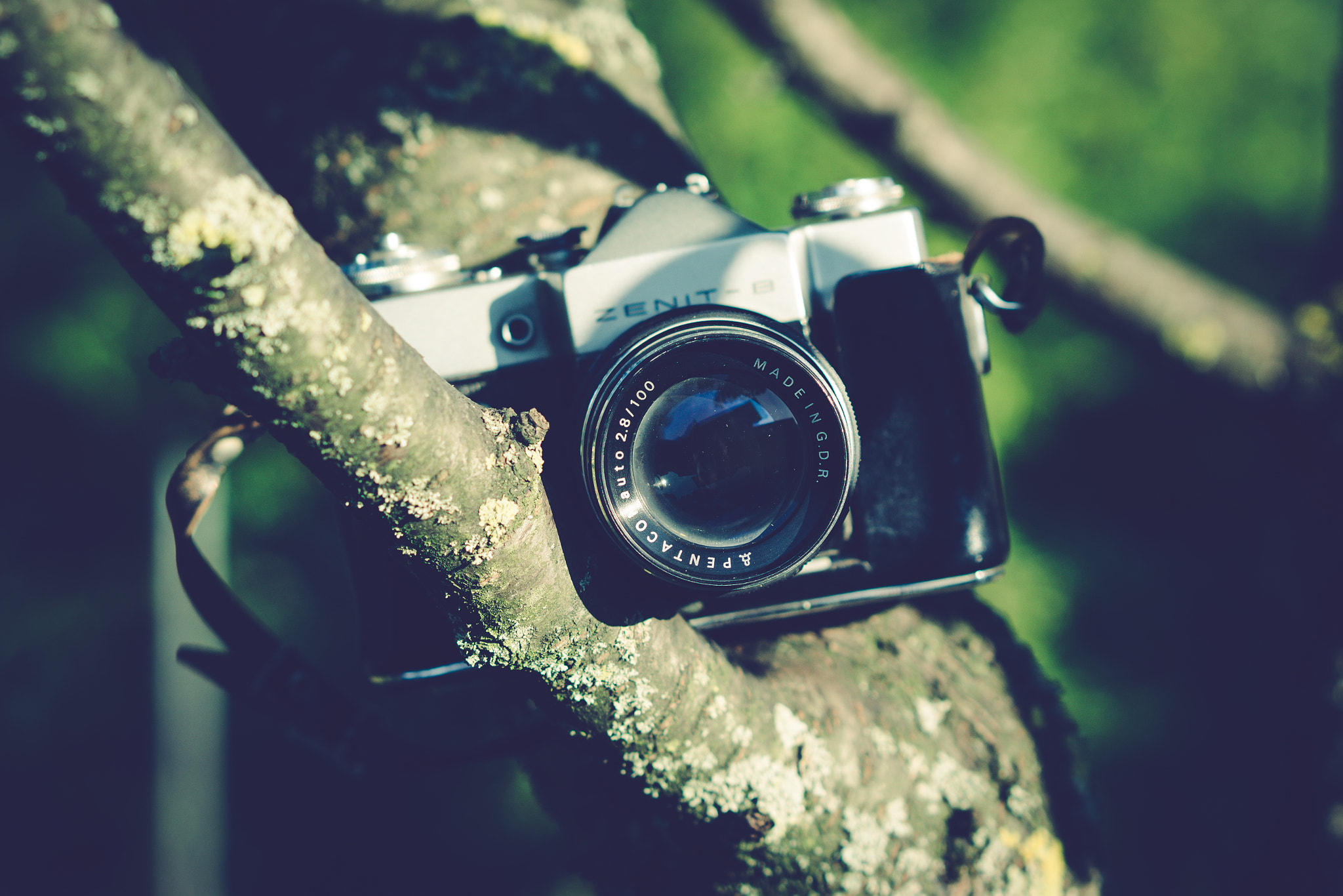 Sony a6000 + Sony Sonnar T* FE 55mm F1.8 ZA sample photo. Zenit - b photography