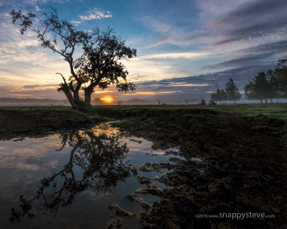 Panasonic Lumix DMC-G5 + Panasonic Lumix G Vario 7-14mm F4 ASPH sample photo. New forest national park drinking point photography