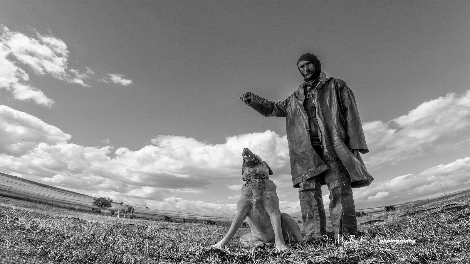 Samsung NX500 + Samsung NX 16mm F2.4 Pancake sample photo. Shepherd's dog photography