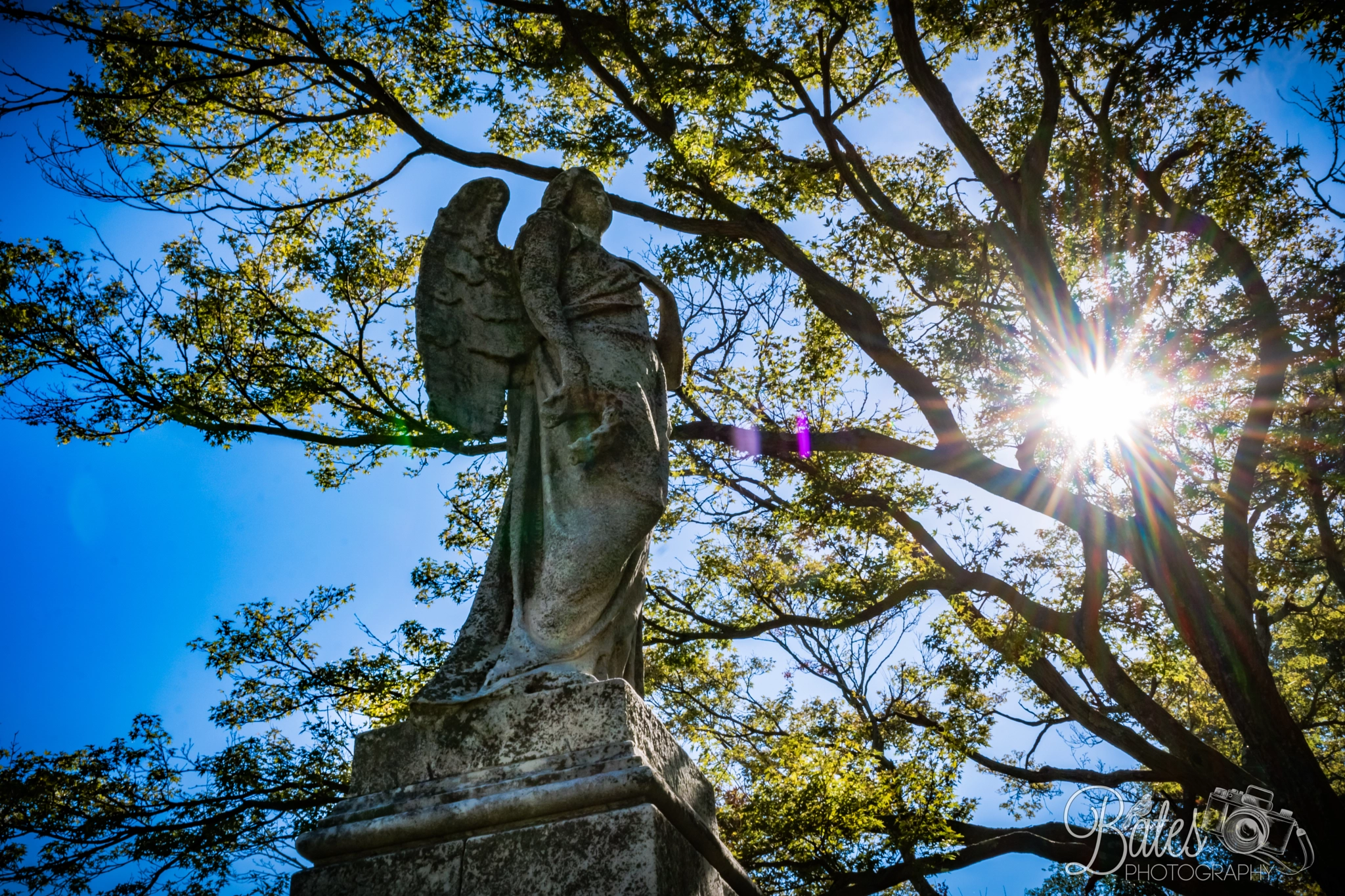 Sony a6300 + ZEISS Batis 25mm F2 sample photo. Perfect old angel photography