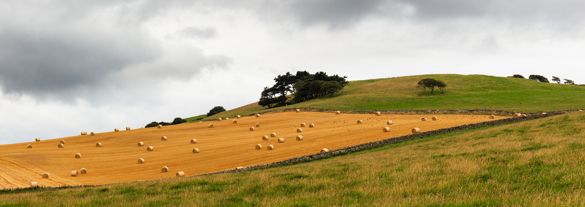 Canon EOS 5DS R sample photo. Golden bales photography