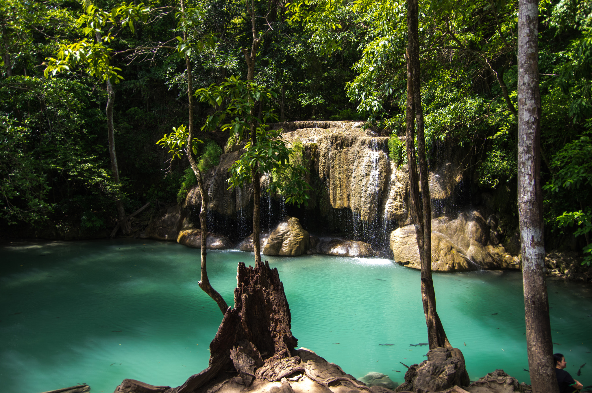 Pentax K-3 II sample photo. Green waterfall photography