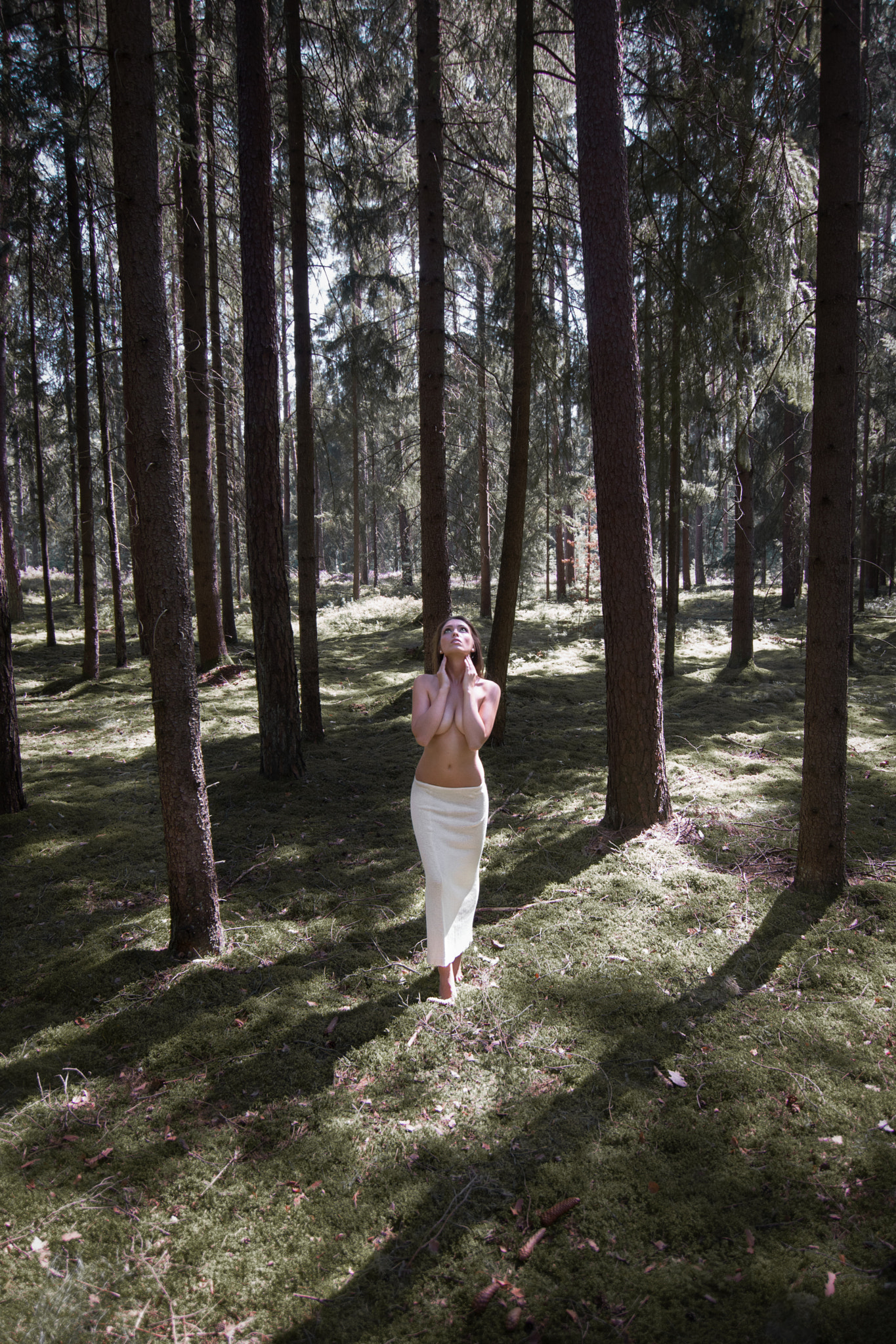 Canon EOS 750D (EOS Rebel T6i / EOS Kiss X8i) sample photo. Forest photography