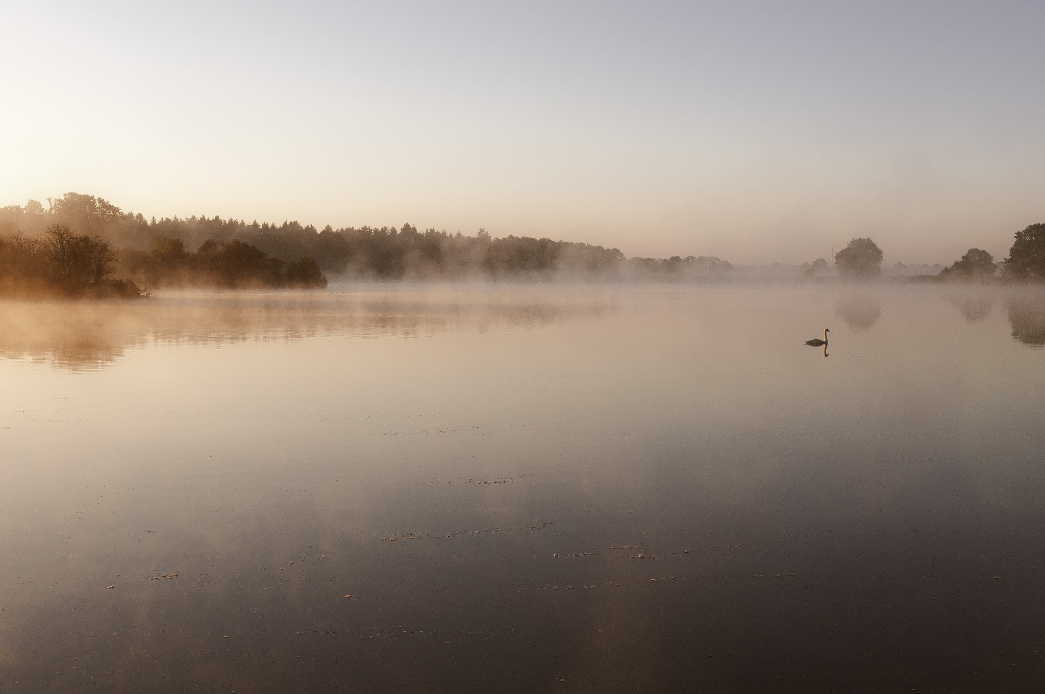 Nikon D300S + Sigma 18-35mm F1.8 DC HSM Art sample photo. Morgens photography