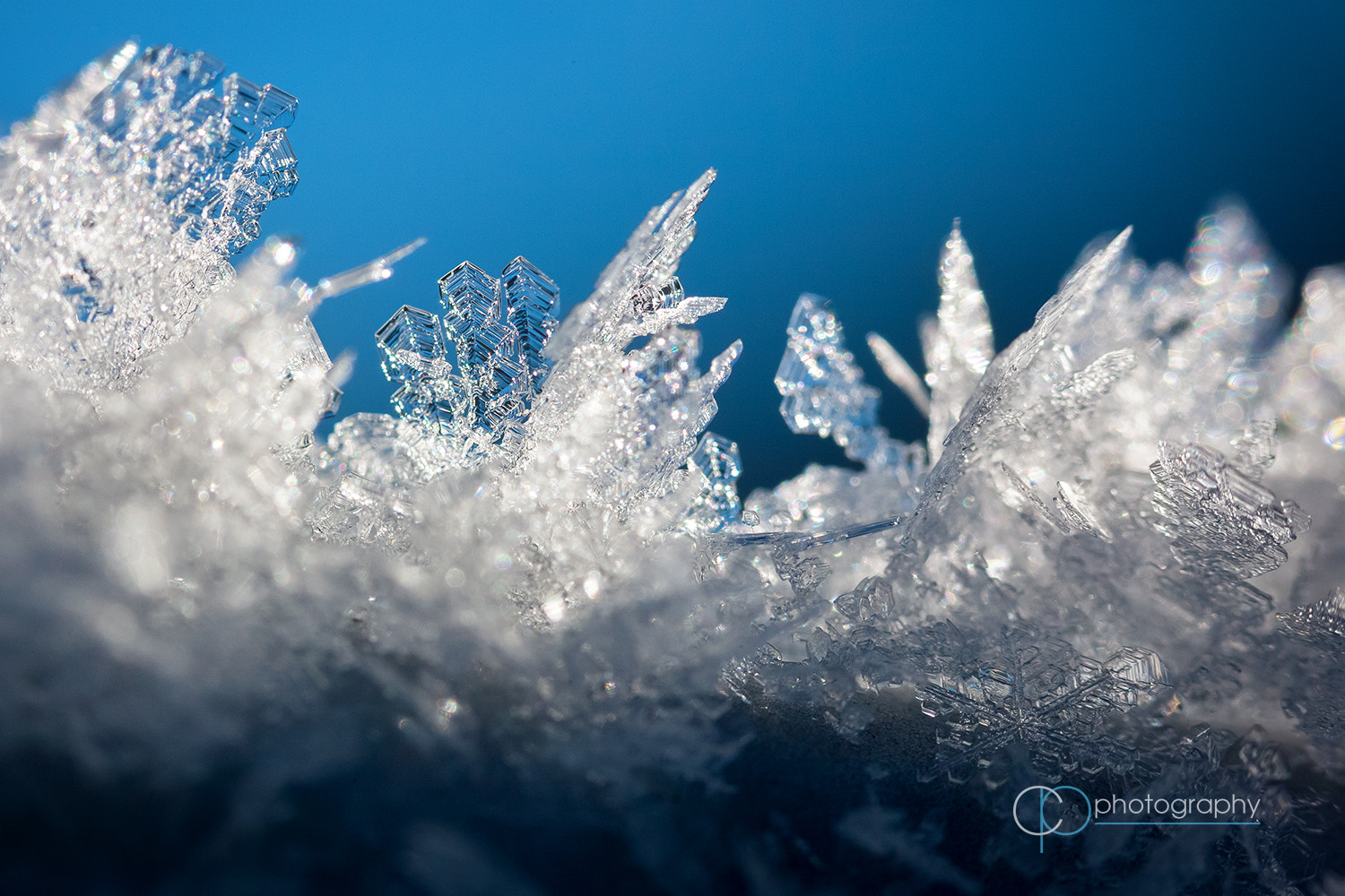 Canon EOS-1Ds Mark III sample photo. Catching light photography