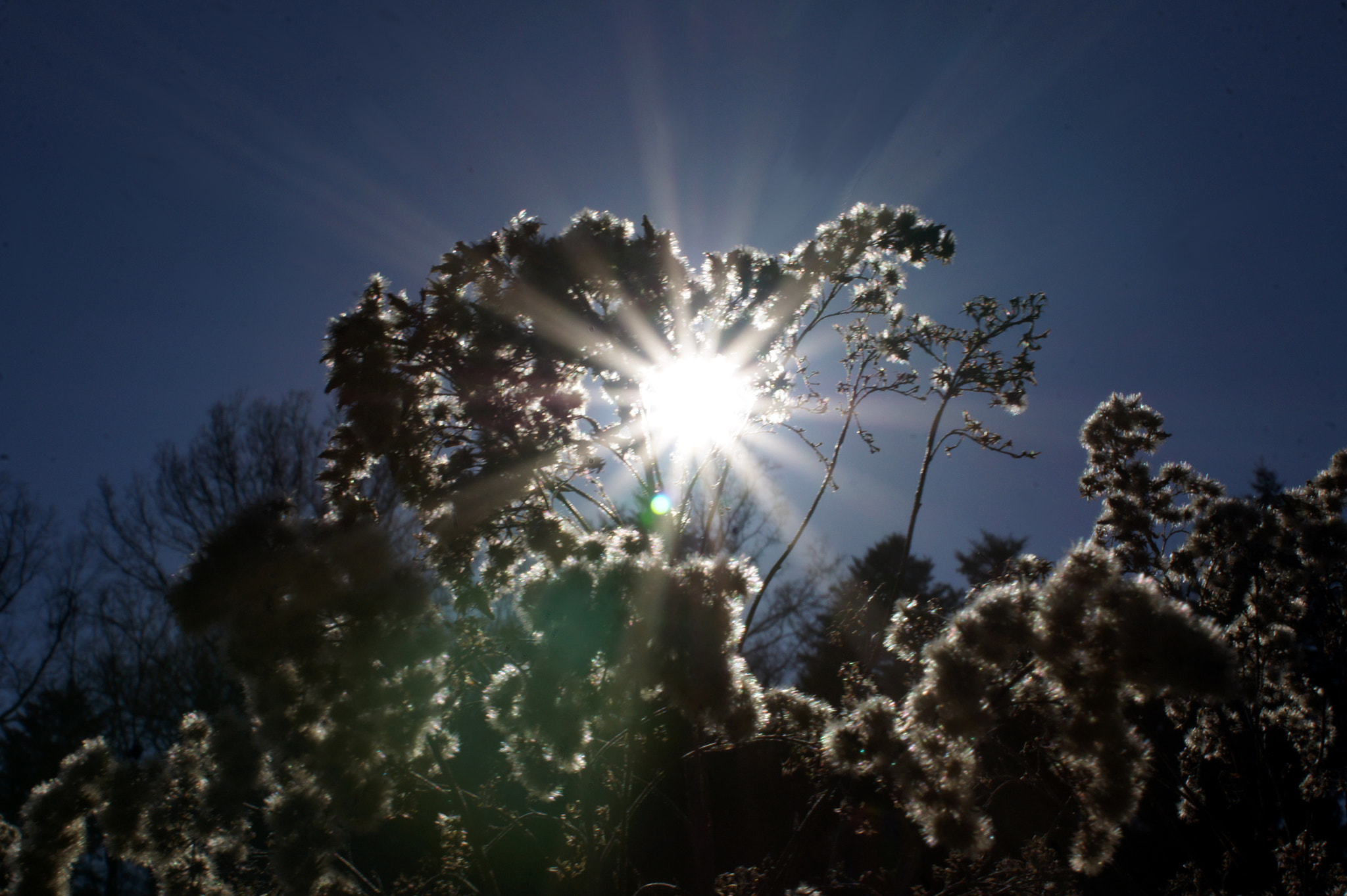 Sony DT 18-70mm F3.5-5.6 sample photo. Sky in spring photography