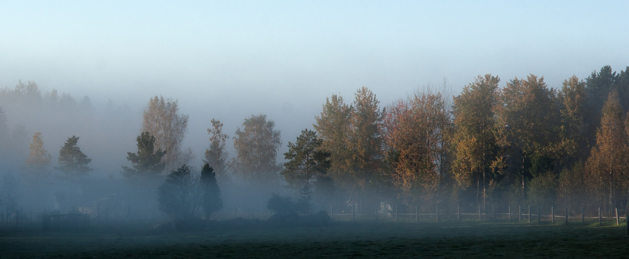 Sony Planar T* 85mm F1.4 ZA sample photo. Morning photography