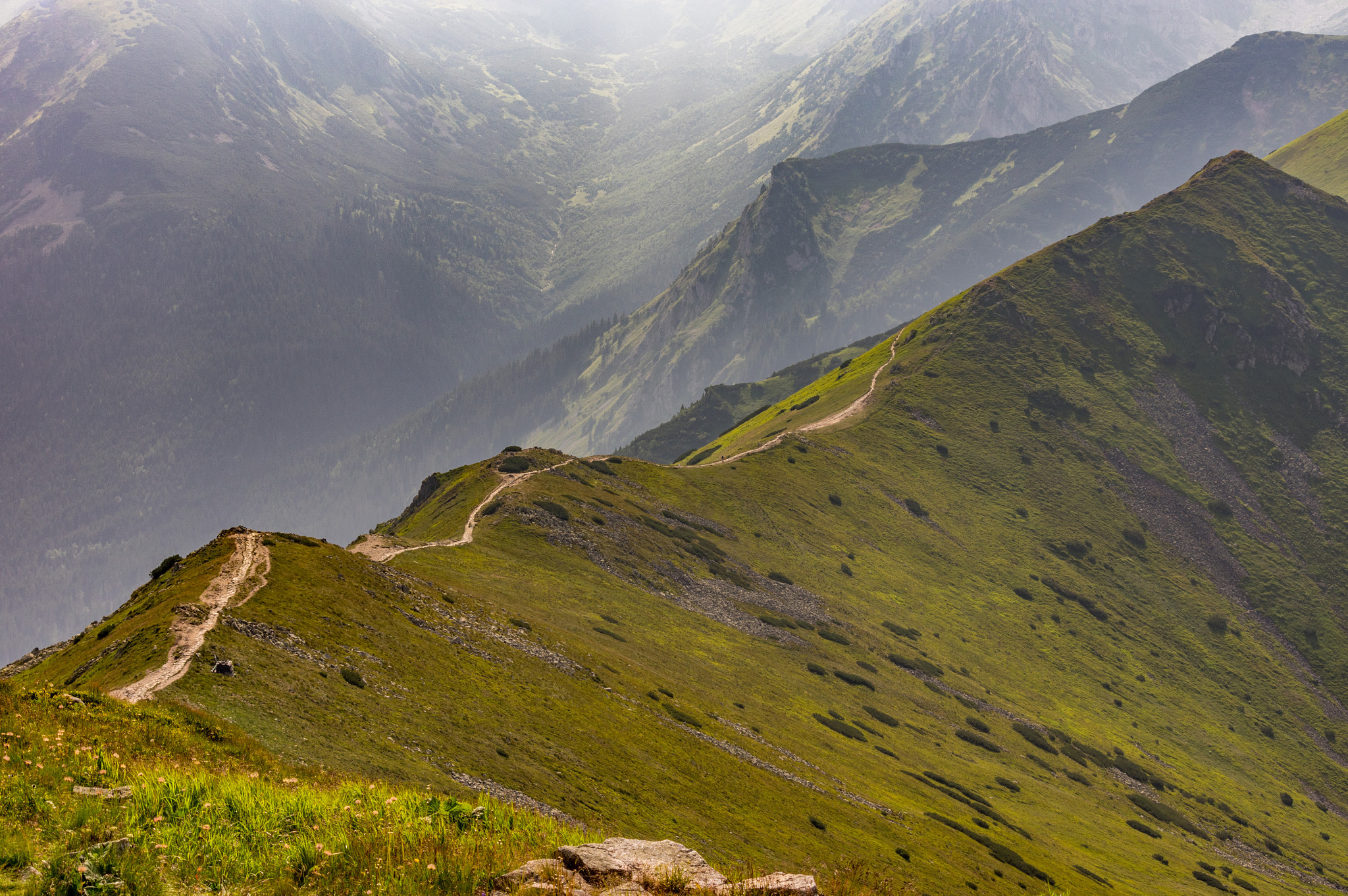 Pentax K-3 + Pentax smc DA 55-300mm F4.0-5.8 ED sample photo. Zakopane, poland photography