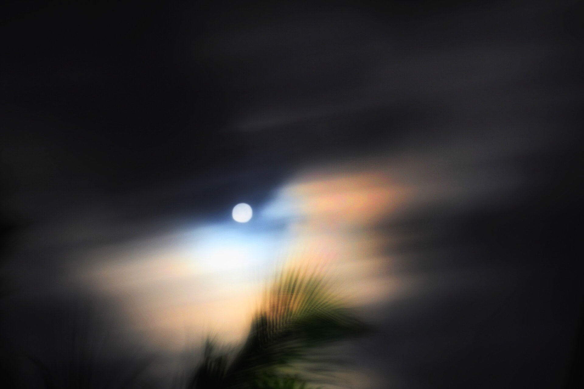 Canon EF75-300mm f/4-5.6 sample photo