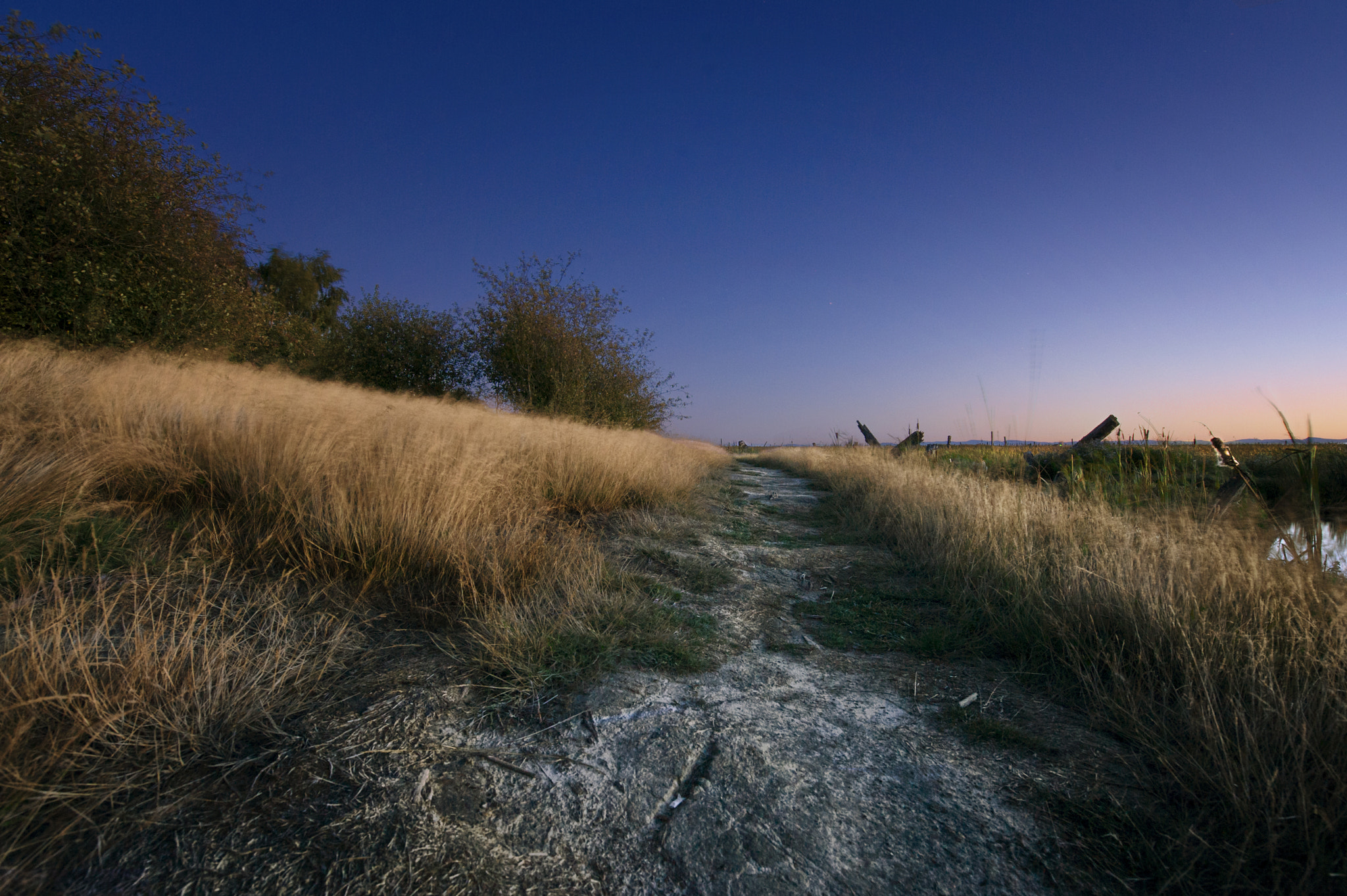 Nikon D3S sample photo. The pathway photography