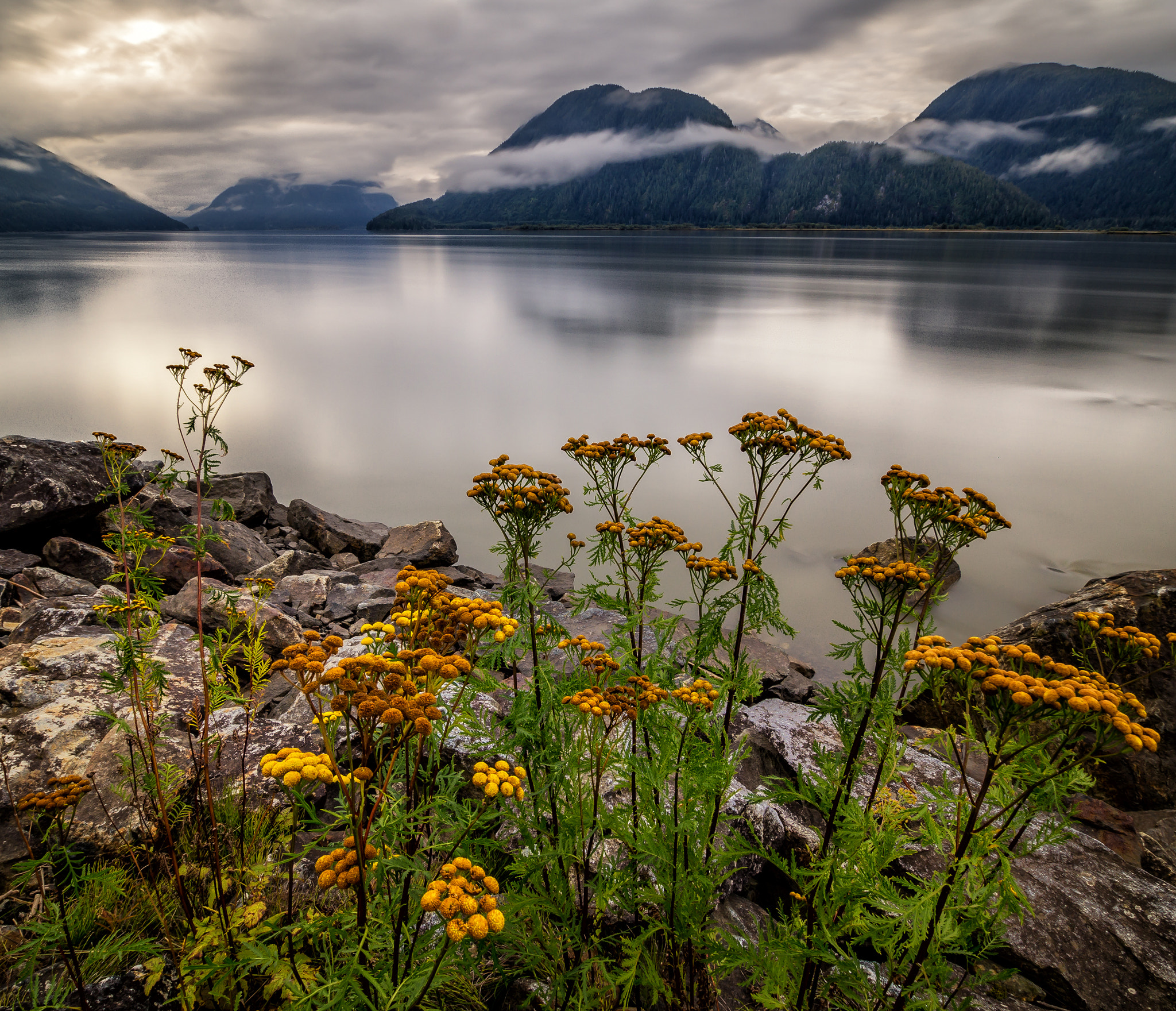 OLYMPUS M.9-18mm F4.0-5.6 sample photo. The mighty skeena river photography
