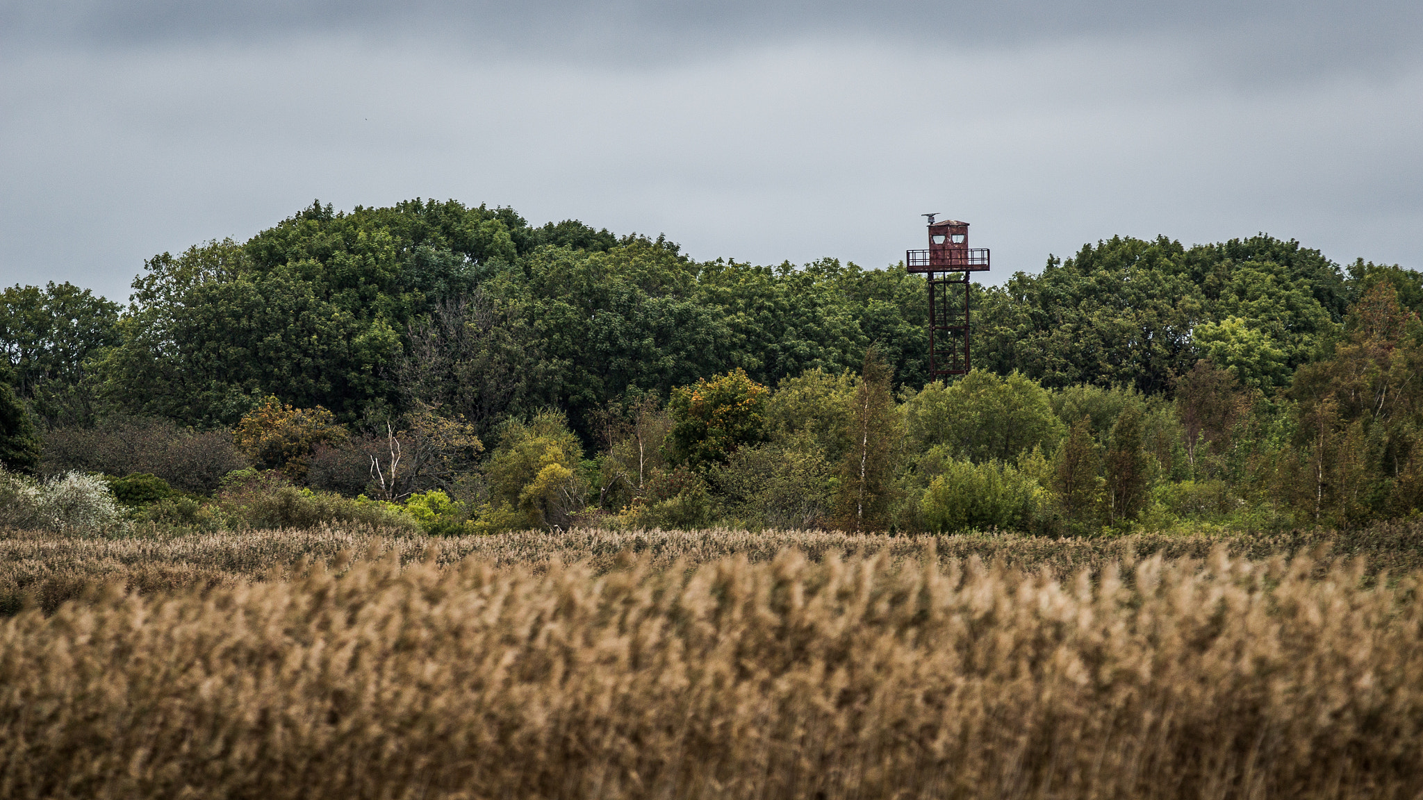 Canon EF 70-200mm F2.8L IS II USM sample photo. Abandoned guard tower photography