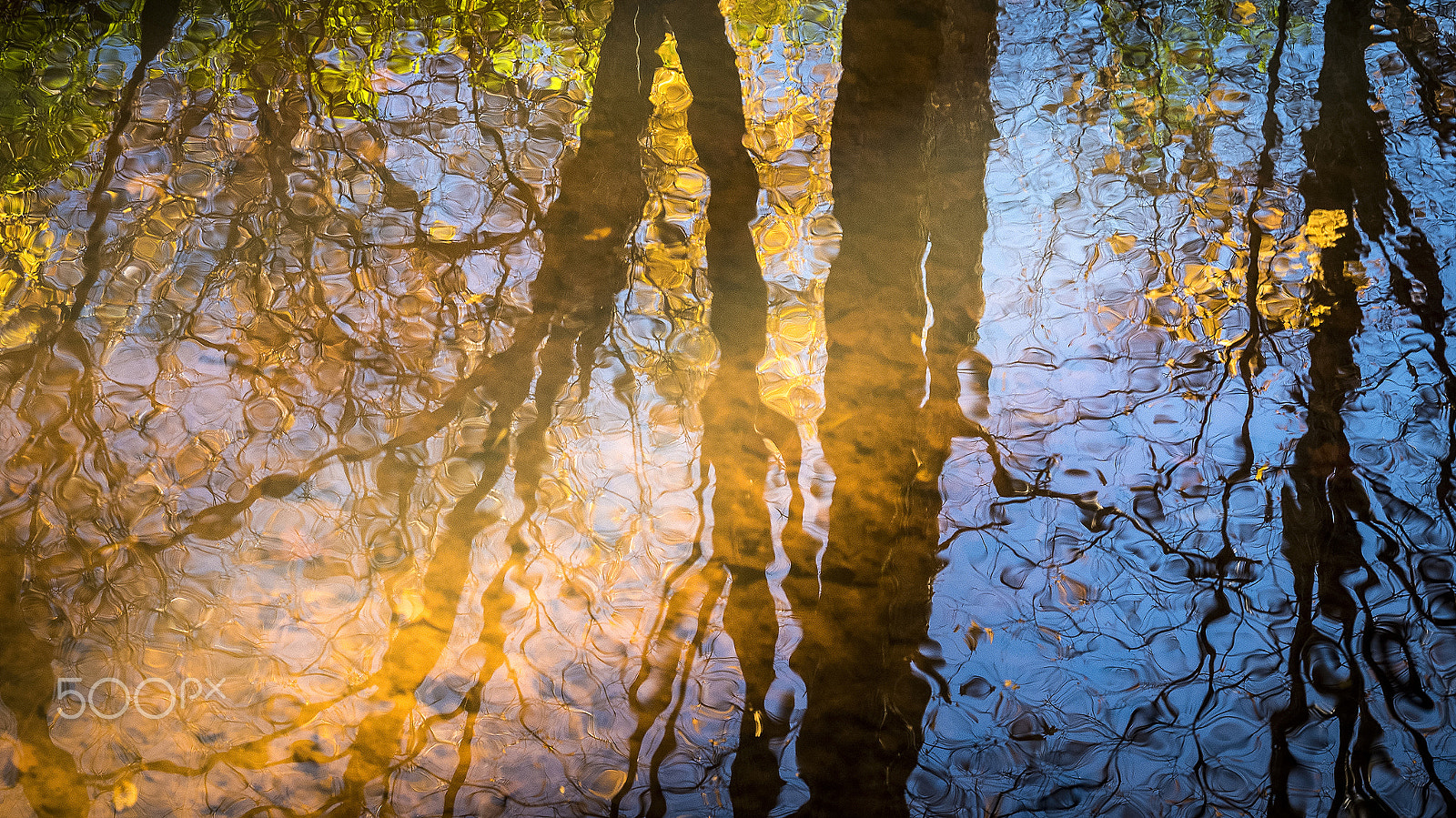 Panasonic Lumix DMC-GH4 sample photo. Fall colors reflection on blue stream water photography