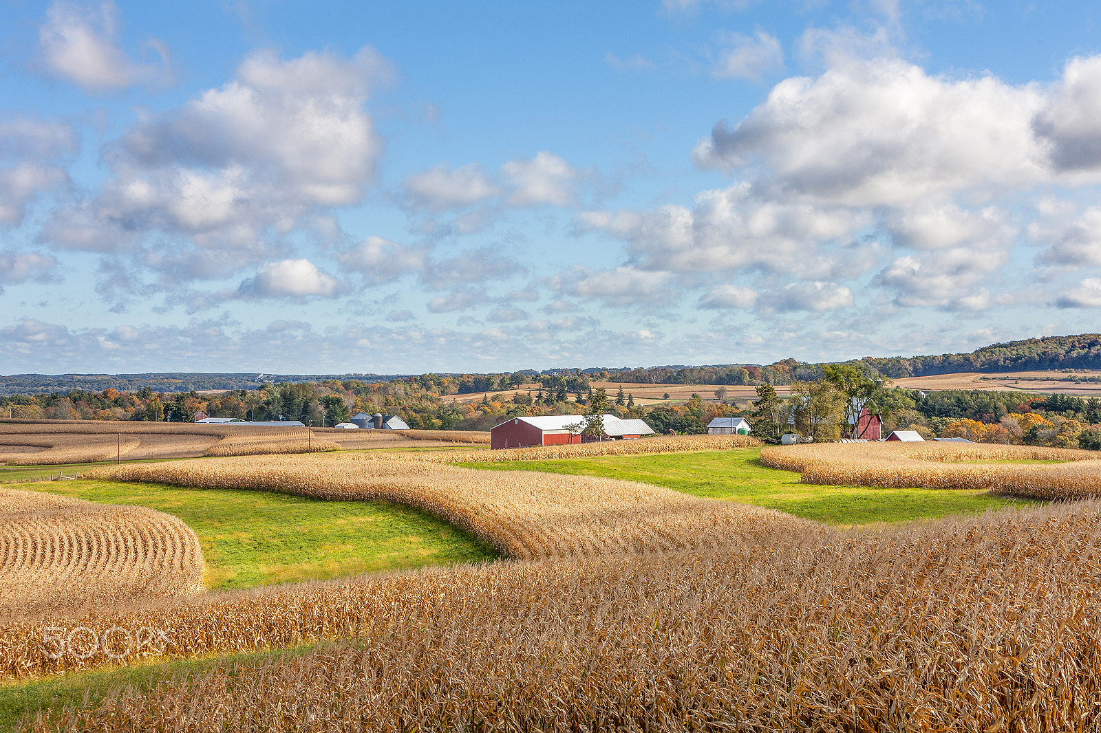 Canon EOS-1Ds Mark III sample photo. Just before harvest.  baraboo hills, wi photography