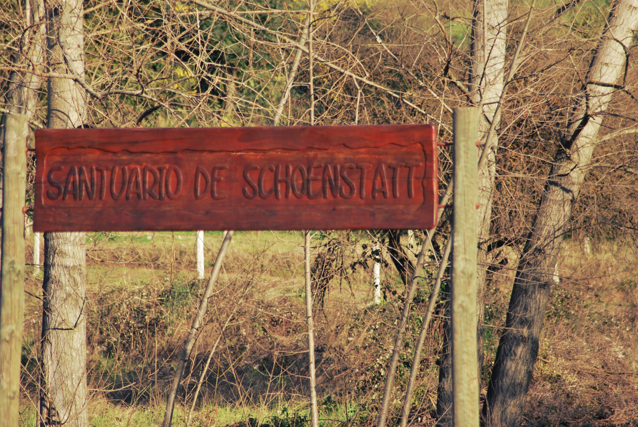 Nikon D60 + AF Zoom-Nikkor 70-300mm f/4-5.6D ED sample photo. Santuario schoenstatt photography