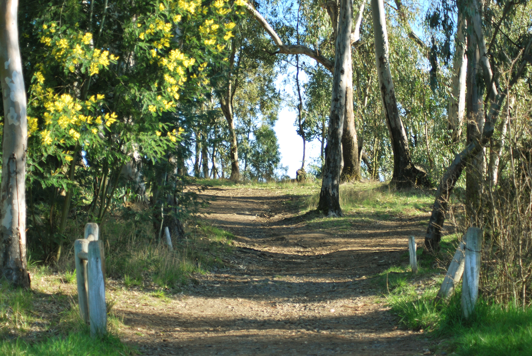 Nikon D60 sample photo. Hill throw the stations. photography