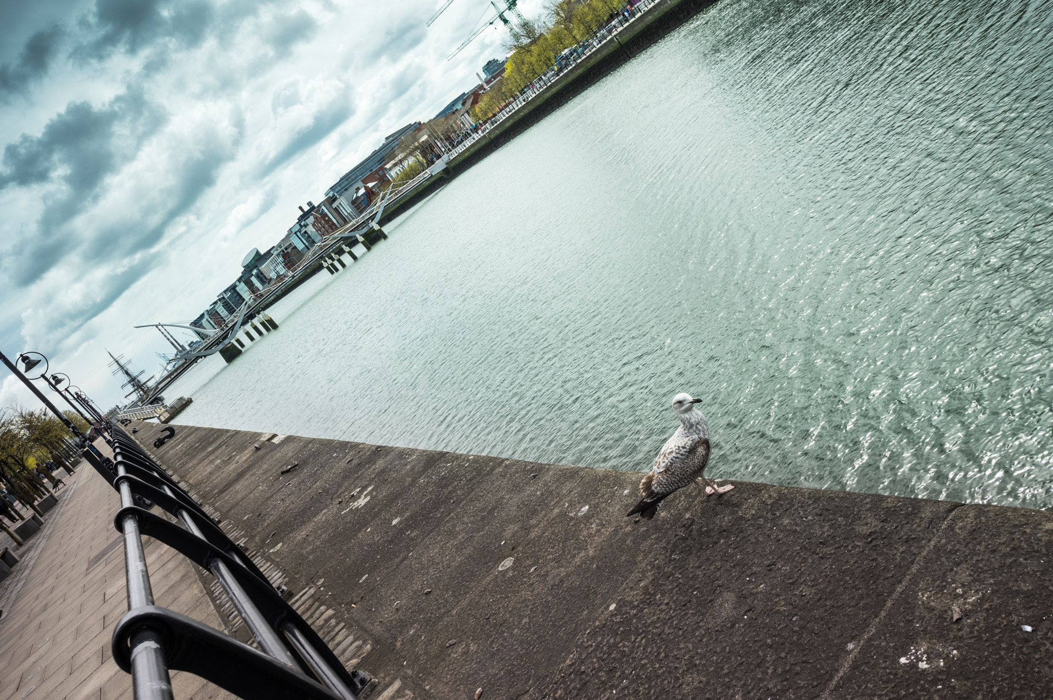 Sigma 10-20mm F3.5 EX DC HSM sample photo. Dublin, ireland photography