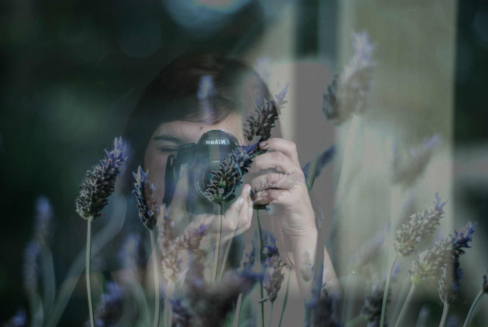 Nikon D80 sample photo. Lavanda foto photography