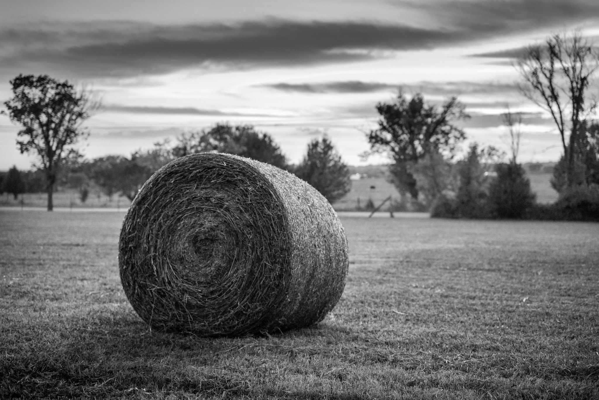 Leica APO-Summicron-M 50mm F2 ASPH sample photo. Last hay harvest photography
