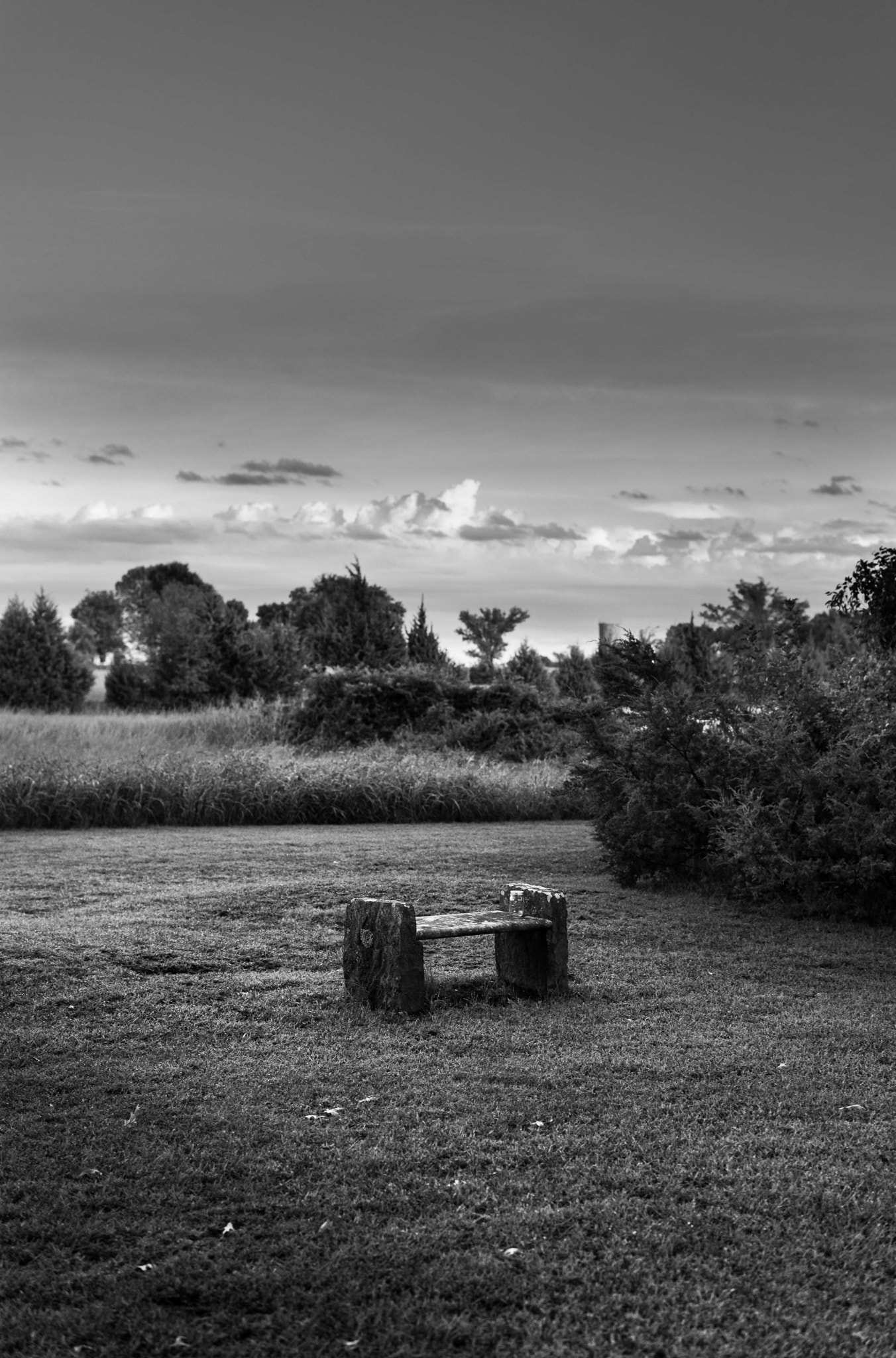 Leica APO-Summicron-M 50mm F2 ASPH sample photo. Stone bench photography