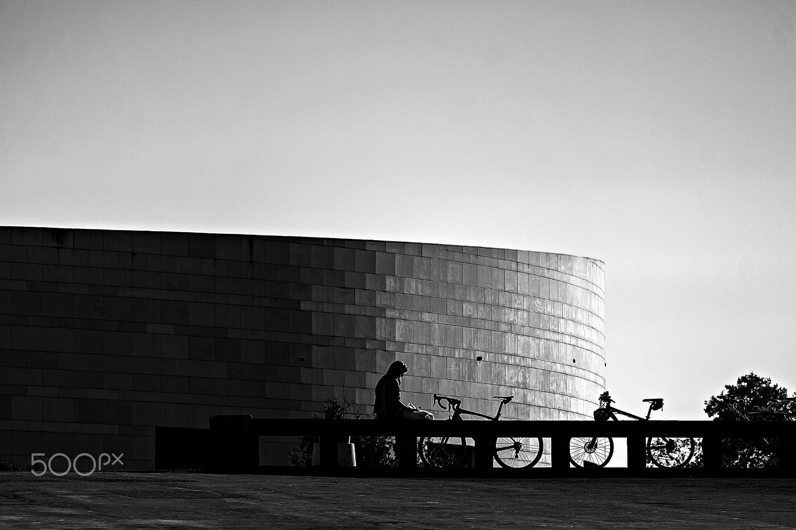 Canon EOS 500D (EOS Rebel T1i / EOS Kiss X3) sample photo. The lady of bicycles. photography