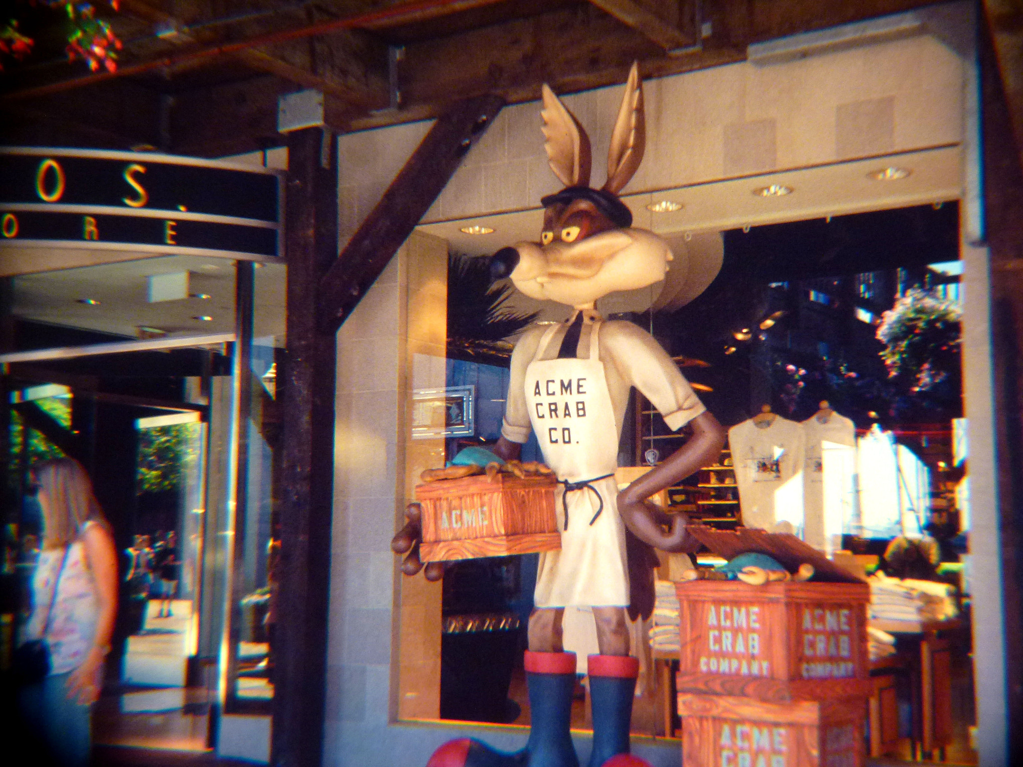 Leica V-Lux 30 / Panasonic Lumix DMC-TZ22 sample photo. Wile e. coyote... the best! photography